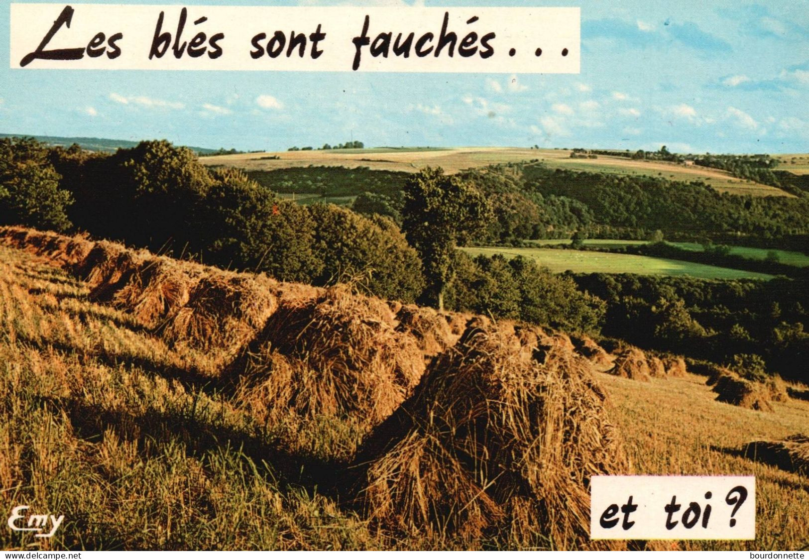 THEME  HUMOUR / Bles Fauchés - Humour