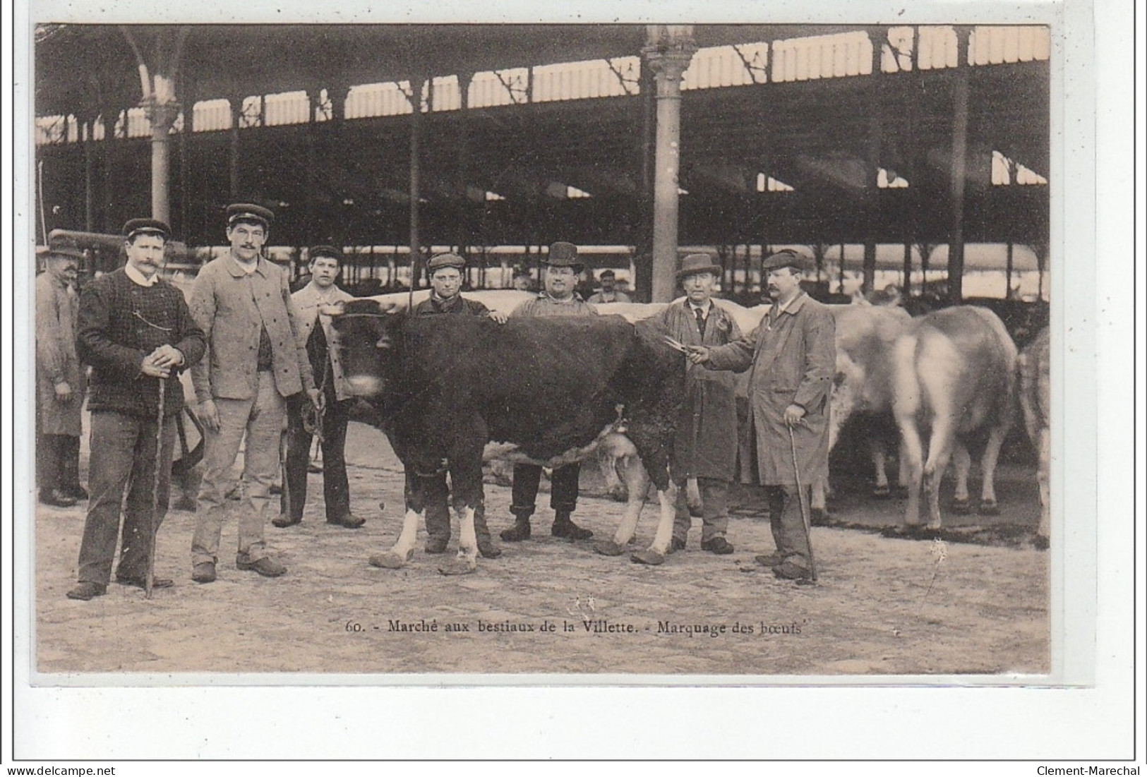 PARIS - Marché Aux Bestiaux De La Villette: Marquage Des Boeufs - Très Bon état - Arrondissement: 19