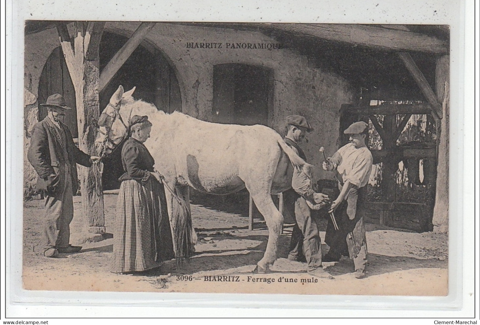 BIARRITZ - Ferrage D'une Mule - Très Bon état - Biarritz