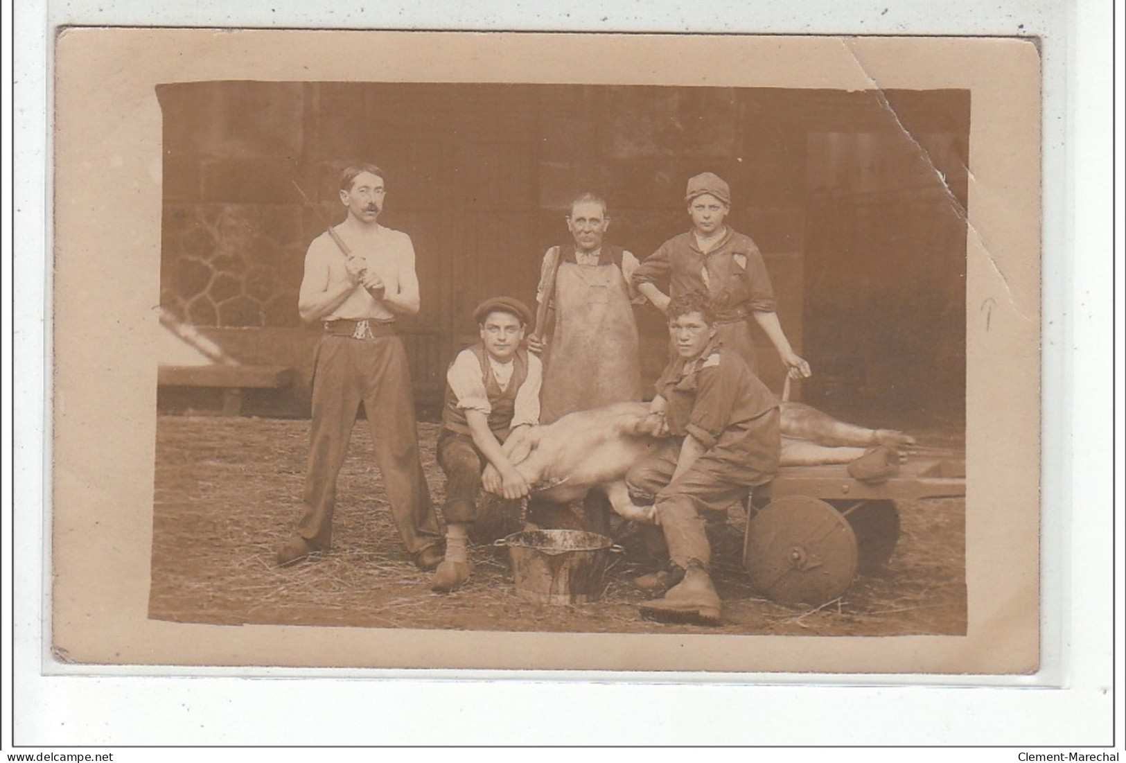 SAINT JEAN PIED DE PORT - CARTE PHOTO 1908 - Groupe S'apprêtant à égorger Un Cochon - Très Bon état - Saint Jean Pied De Port