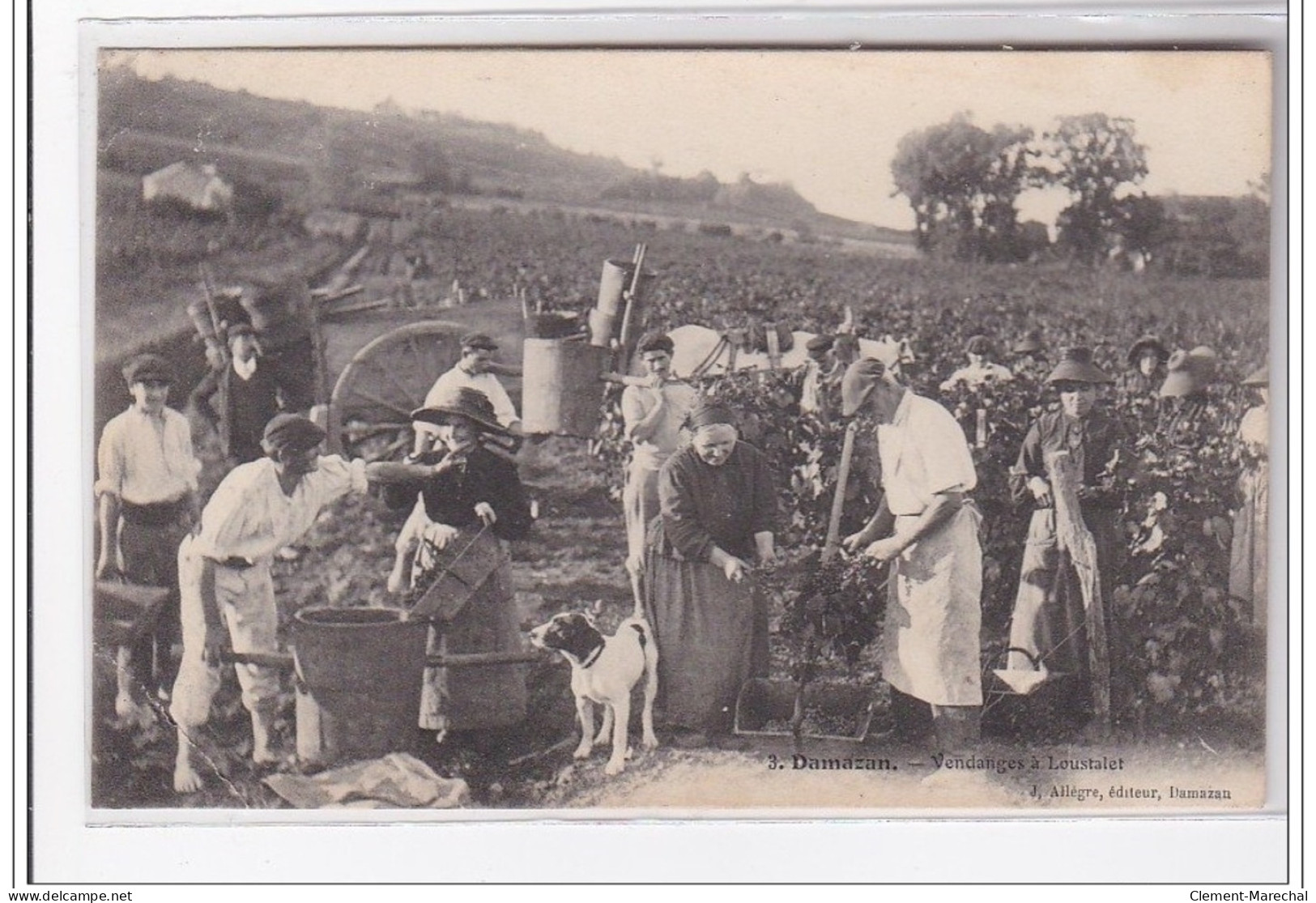 DAMAZAN : Vendanges A Loustalet - Etat - Damazan