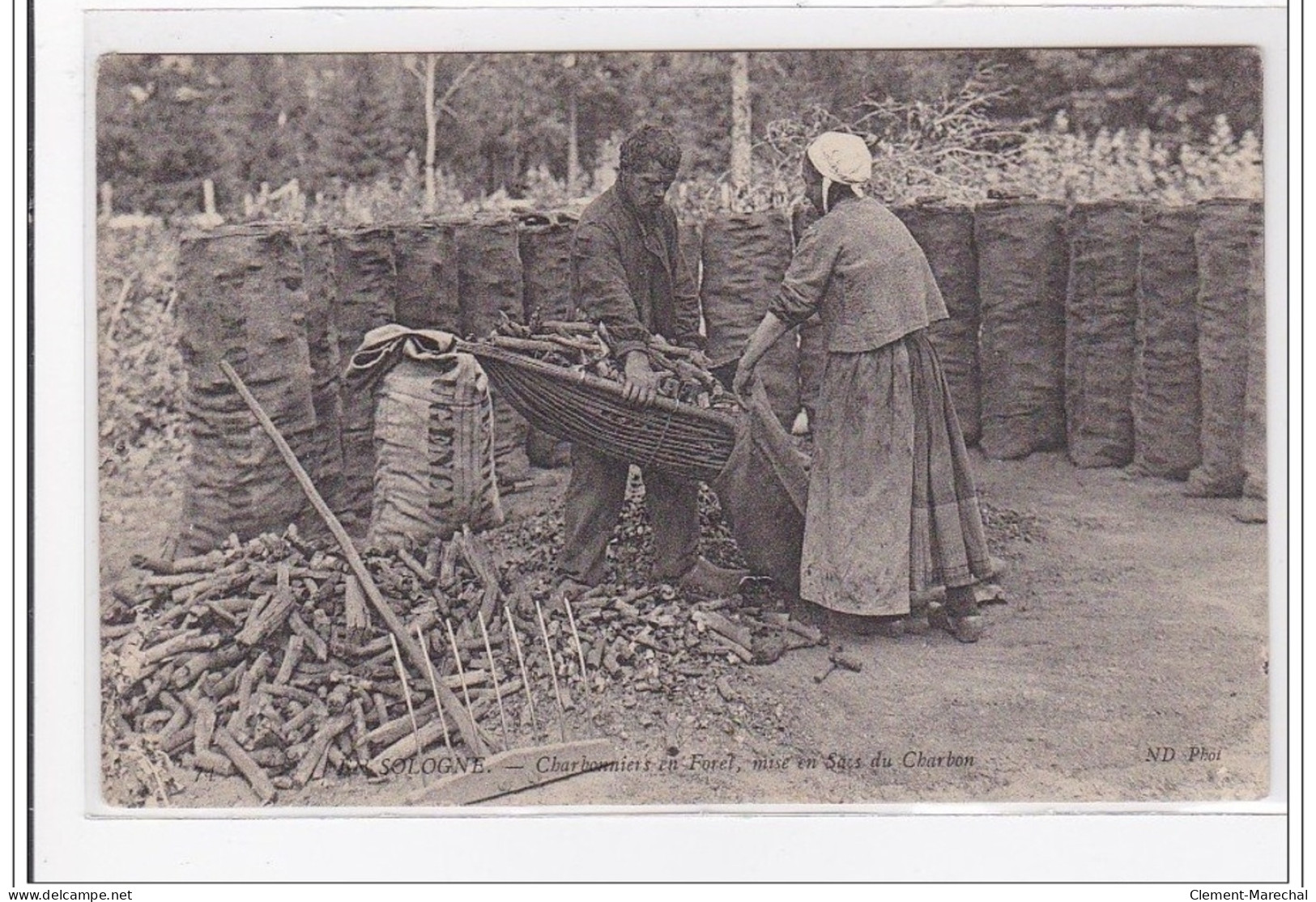 EN SOLOGNE : Charbonniers En Foret, Mise En Sacs Du Charbon - Tres Bon Etat - Lamotte Beuvron