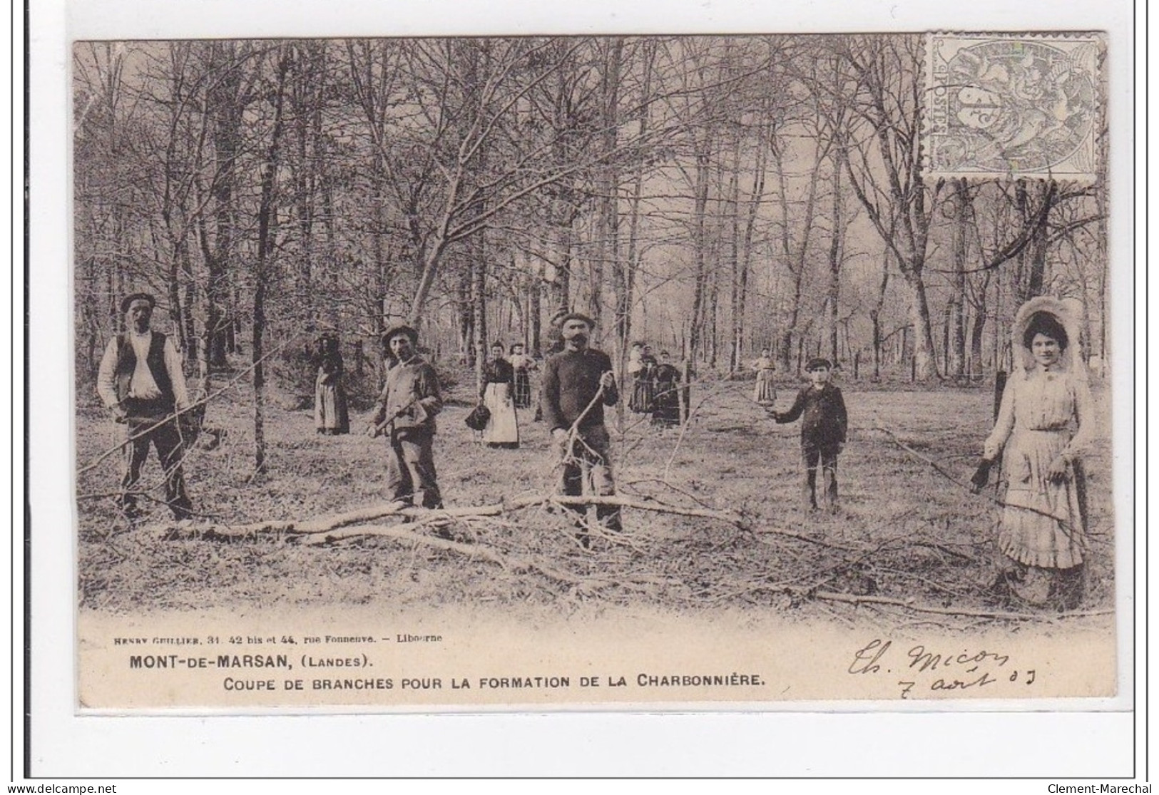 MONT-de-MARSAN : Coupe De Branches Pour La Formation De La Chardonniere - Etat - Mont De Marsan