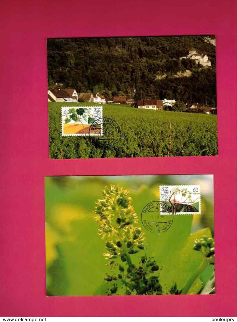 Cartes Maximum De 1994 Du Liechtenstein - Yt N° 1030 à 1033 - Evolution De La Vigne Au Fil Des 4 Saisons - Wein & Alkohol