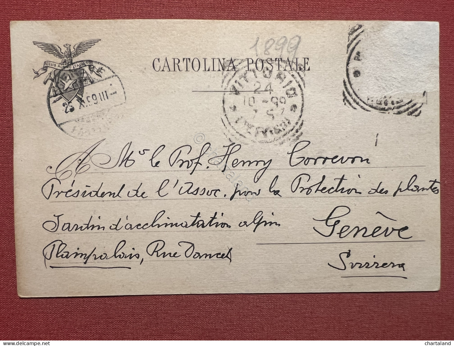 Cartolina - Club Alpino Italiano - Sezione Di Torino - Ghiacciaio Del Lys - 1899 - Other & Unclassified