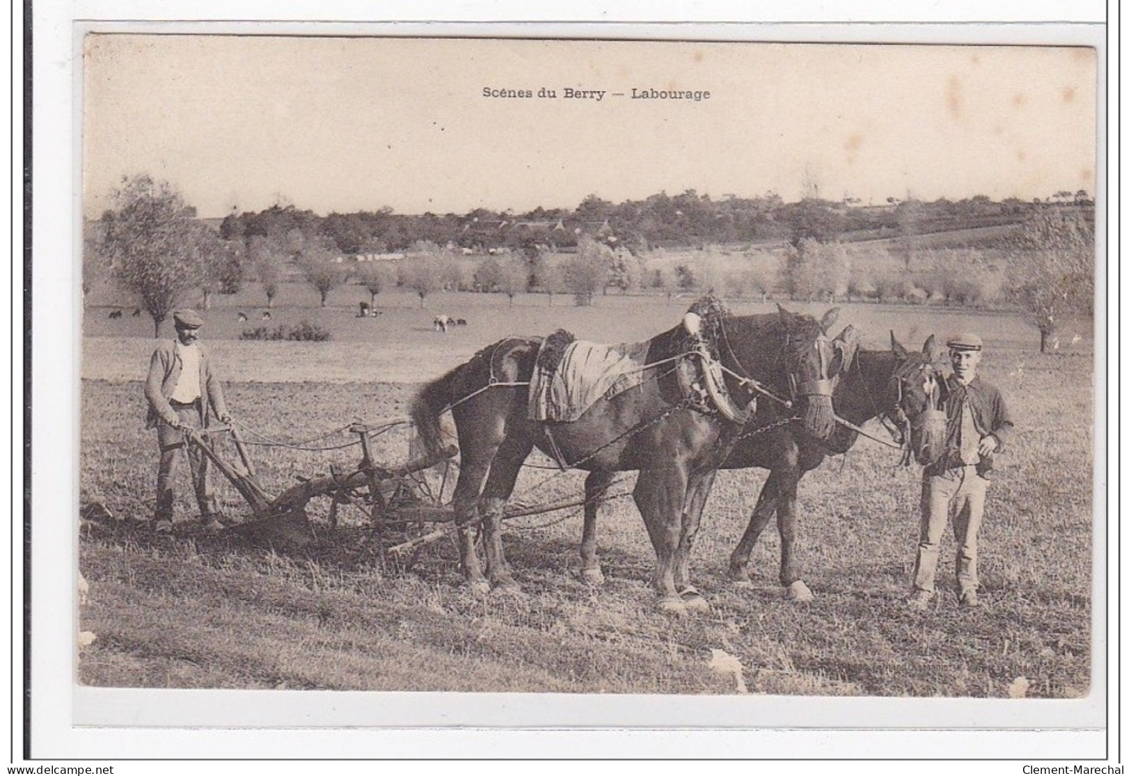 BERRY : Scene Du Berry, Labourage - Tres Bon Etat - Autres & Non Classés