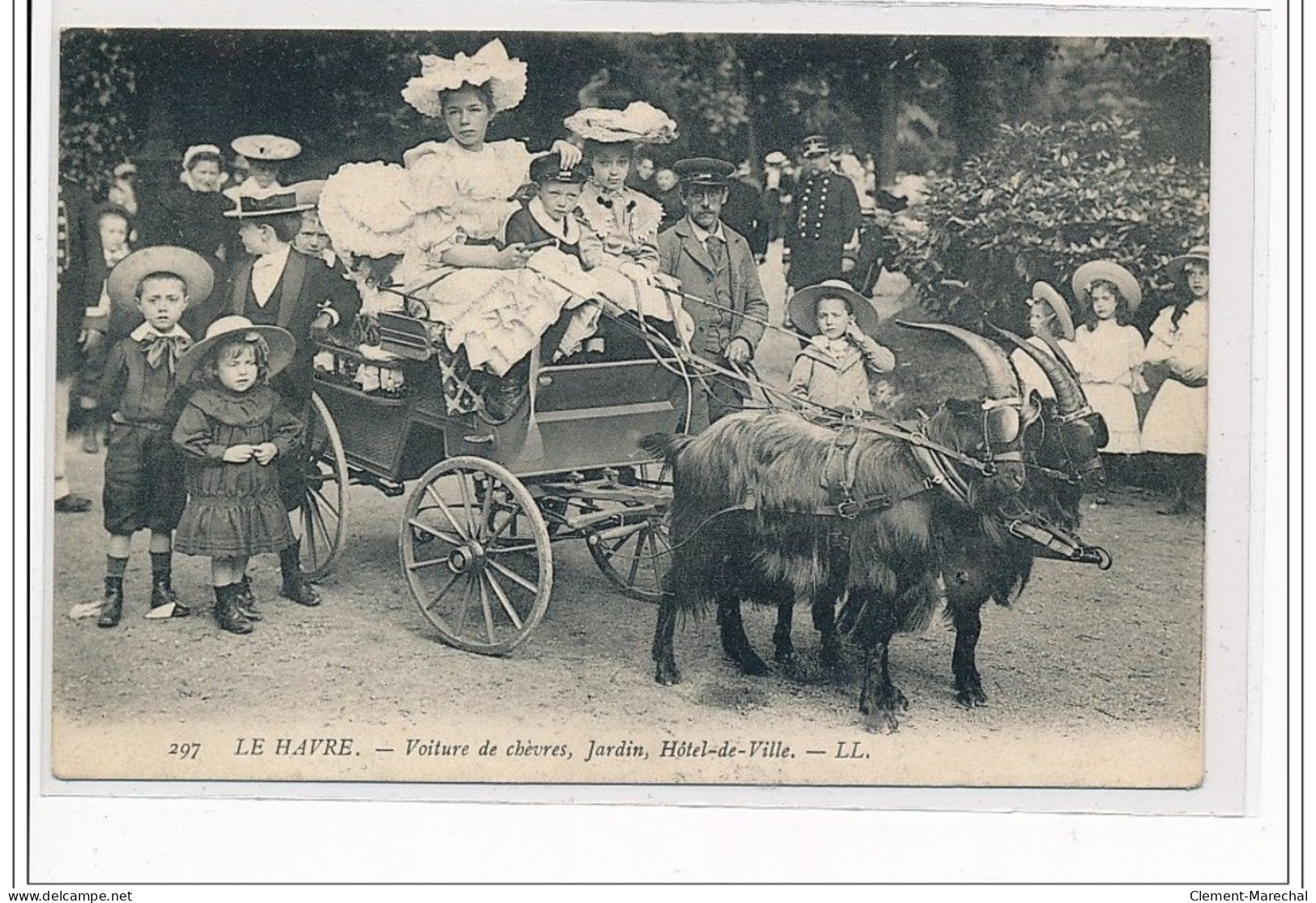 LE HAVRE : Voiture De Chèvres, Jardin, Hôtel De Ville - Très Bon état - Ohne Zuordnung