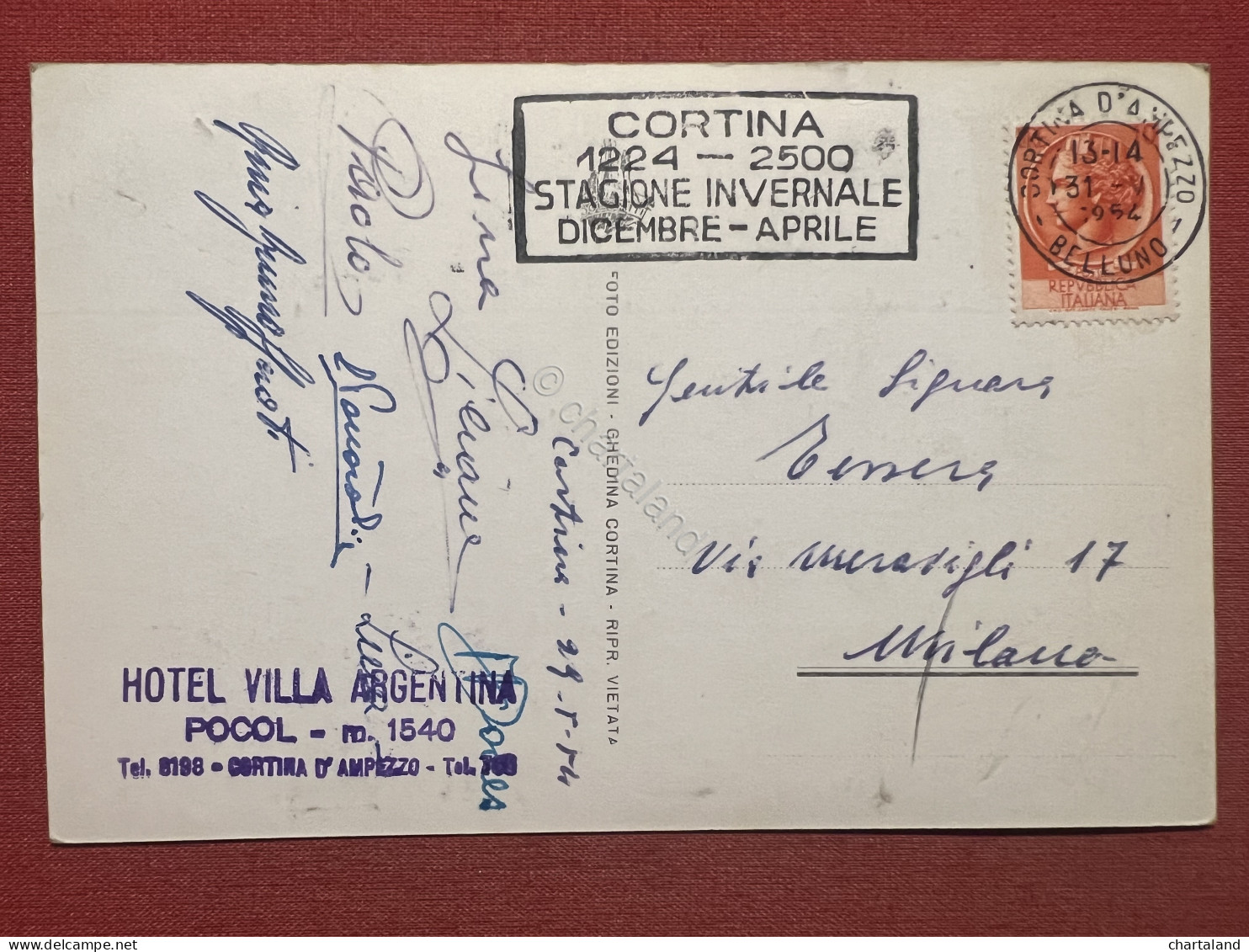 Cartolina - Albergo Villa Argentina - Pocol - Gruppo Tofane - 1954 - Belluno