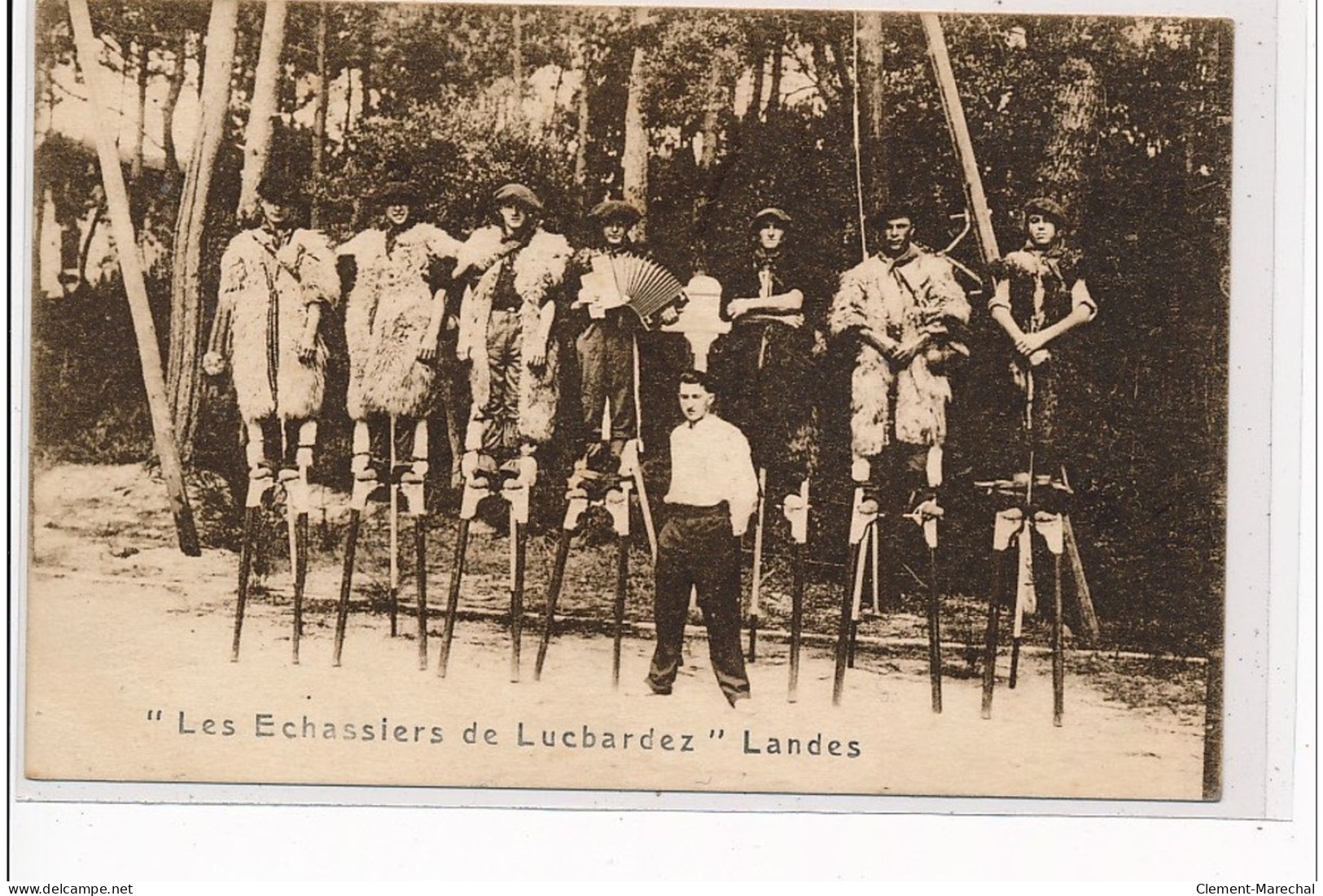 LANDES - """"Les Echassiers De Lucbardez"""" - Très Bon état - Autres & Non Classés