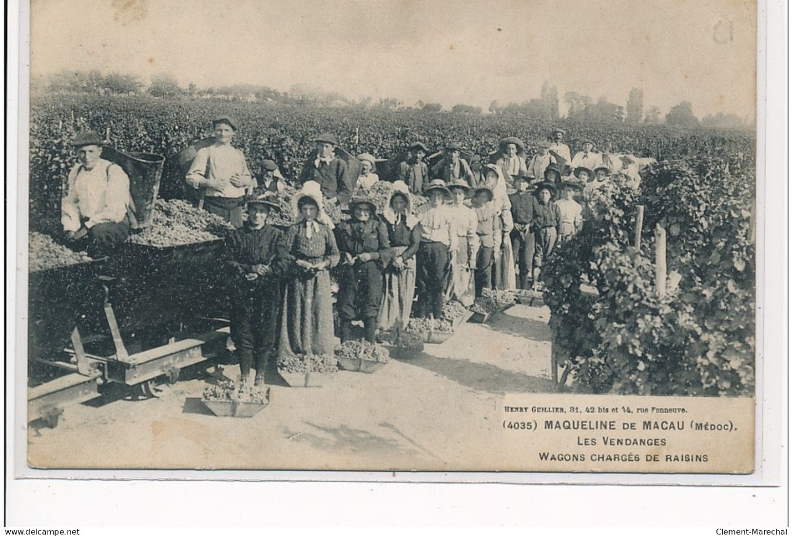 MAQUELINE DE MACAU - Les Vendanges - Wagons Chargés De Raisins - Très Bon état - Otros & Sin Clasificación