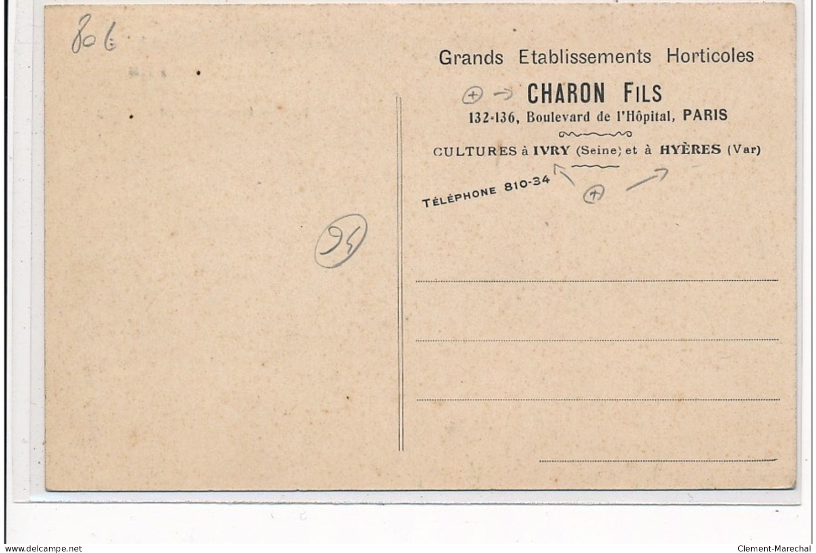 IVRY - Grands Etablissements Horticoles Charon Fils - Une Des Serres à Phoenix - Très Bon état - Ivry Sur Seine