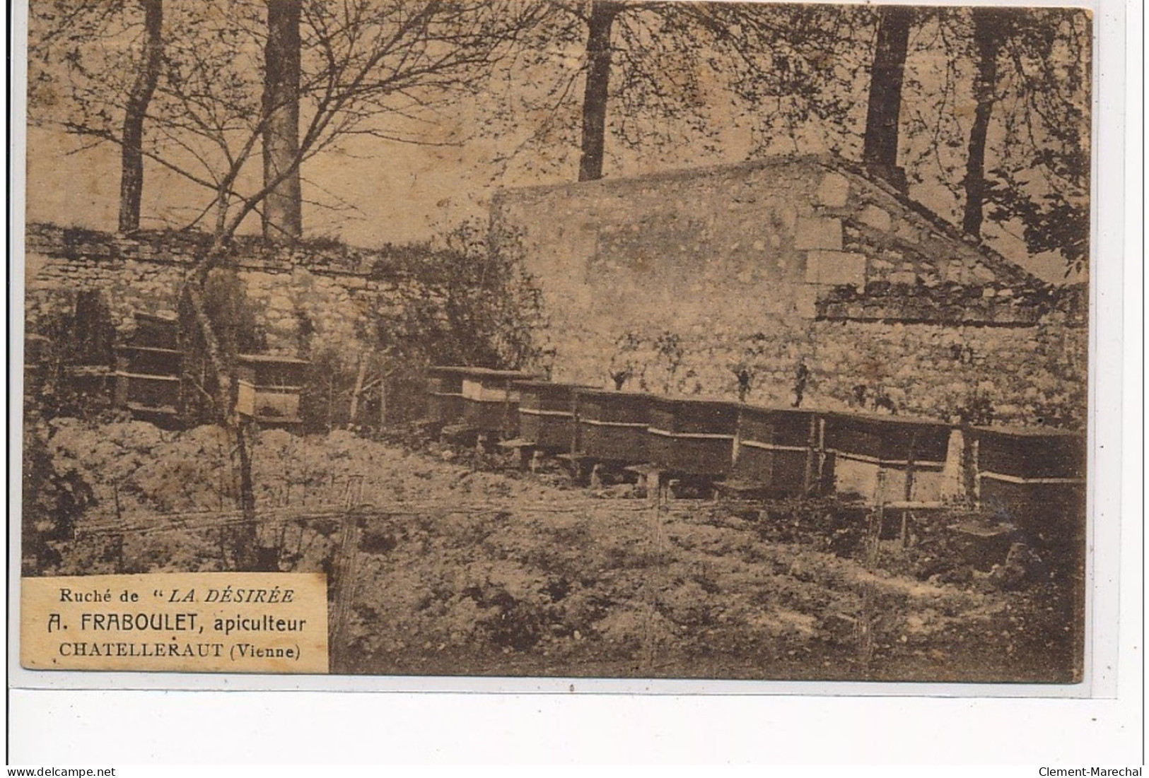 CHATELLERAULT - Rûché De """"La Désirée"""" A. Fraboulet Apiculteur - Très Bon état - Chatellerault