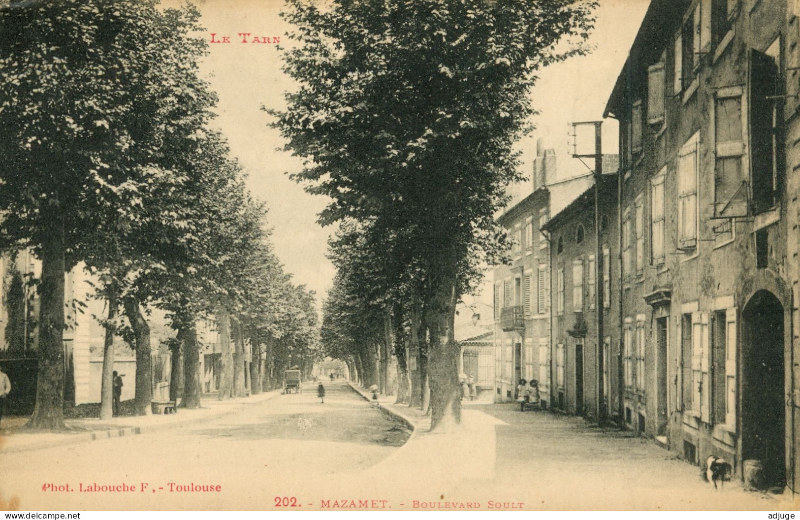 CPA- MAZAMET- Boulevard Soult -Phototypie Labouche N°202 * Oblitération 1913 **TBE - Mazamet