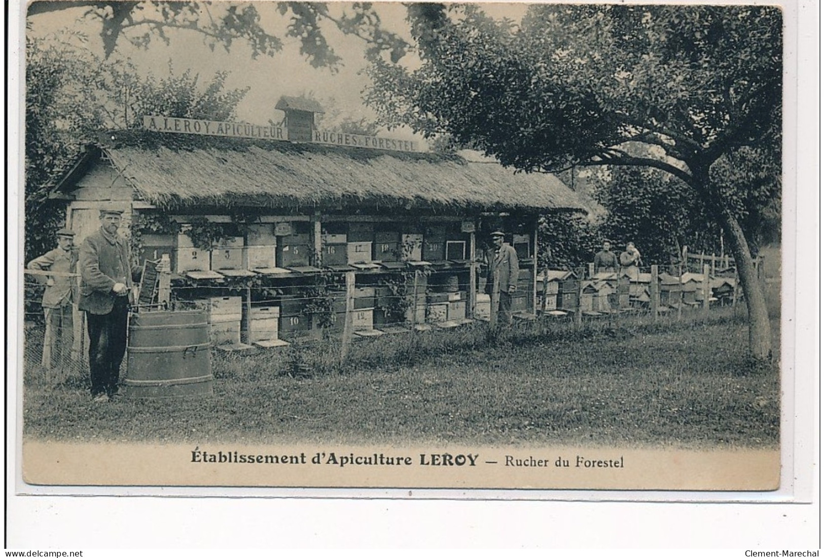 NULLEMONT - Etablissement D'apiculture De A. Leroy - Rucher De Forestel - Très Bon état - Autres & Non Classés