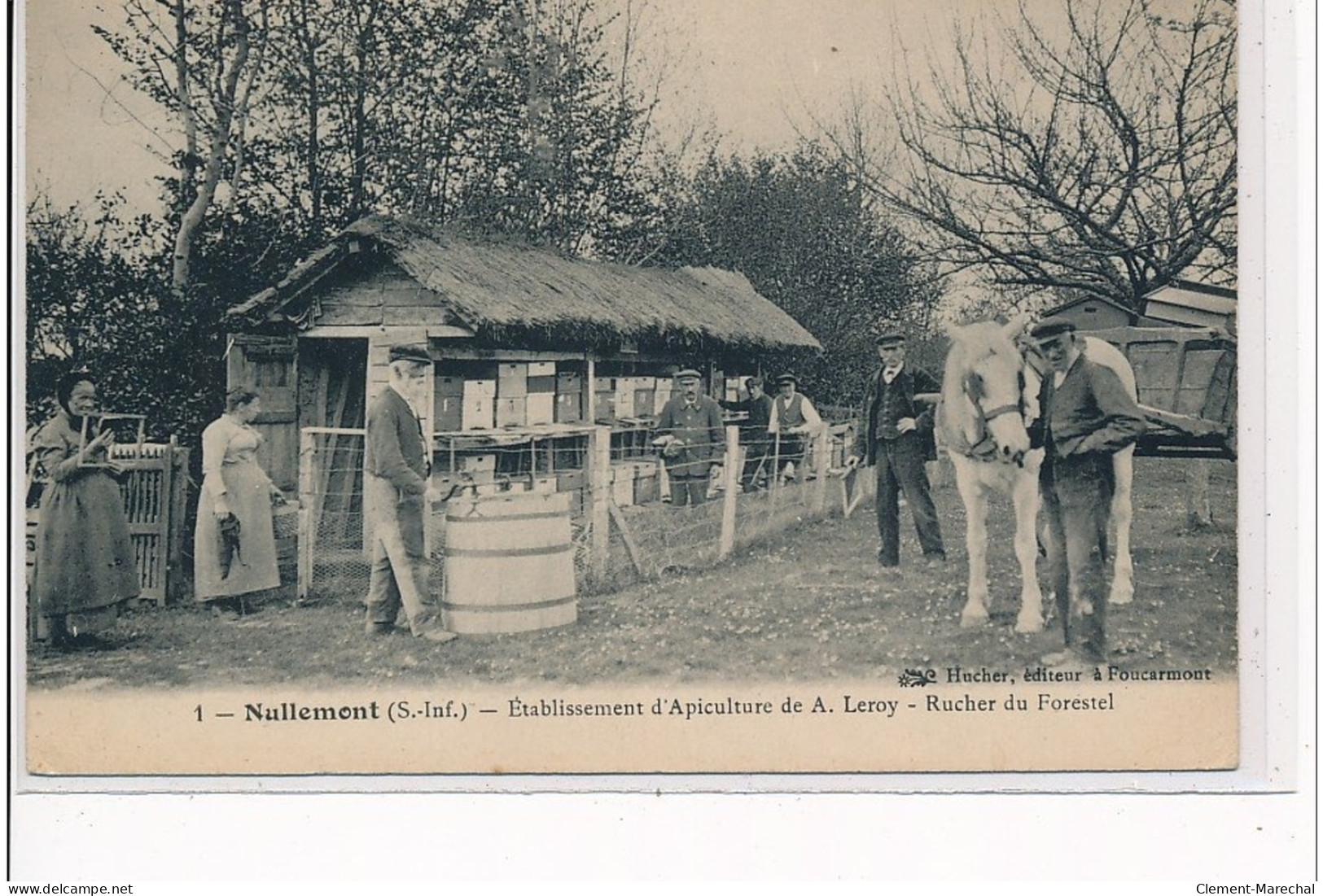 NULLEMONT - Etablissement D'apiculture De A. Leroy - Rucher De Forestel - Très Bon état - Autres & Non Classés