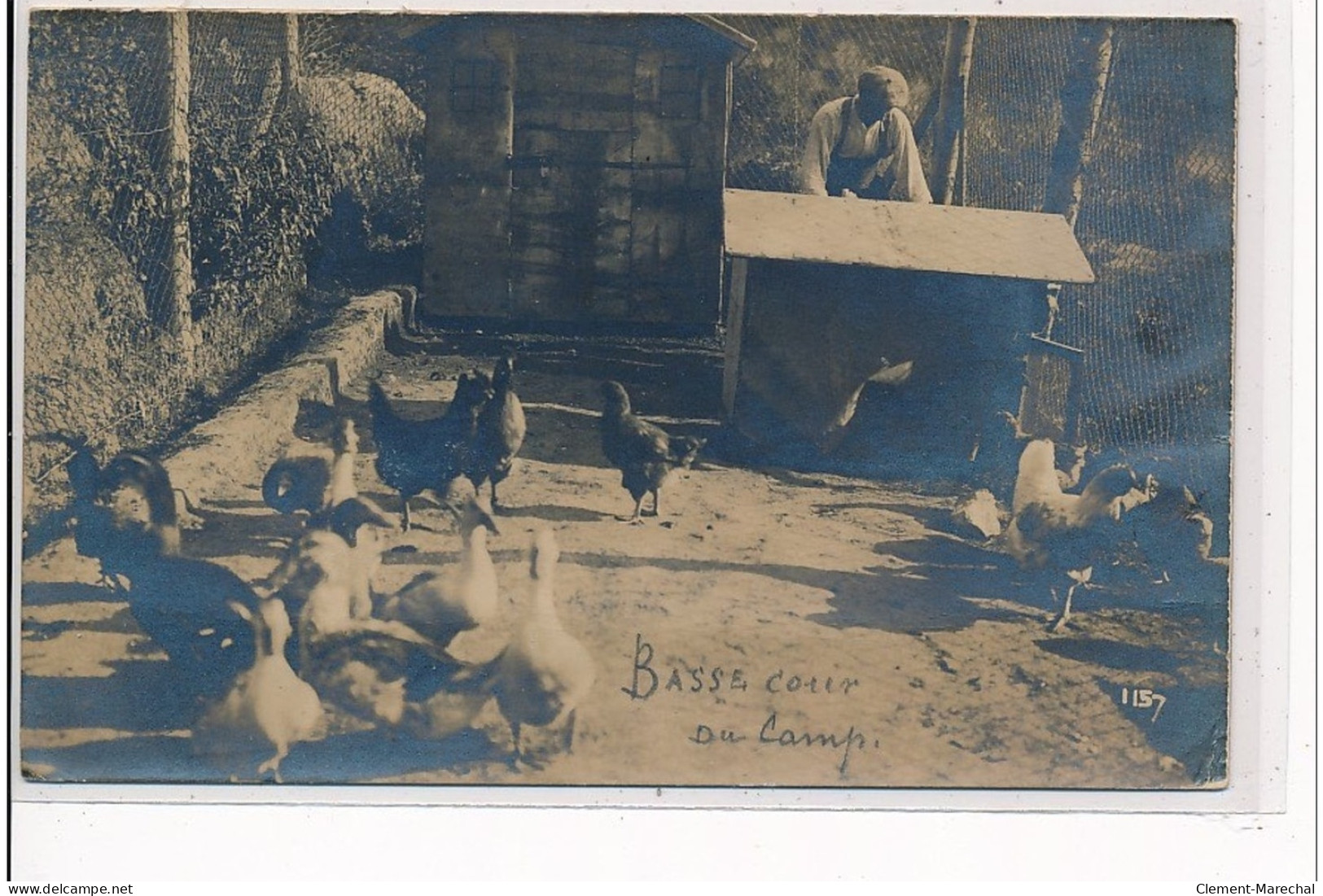 CASSEL - CARTE PHOTO - Basse-Cour Du Camp - Très Bon état - Cassel