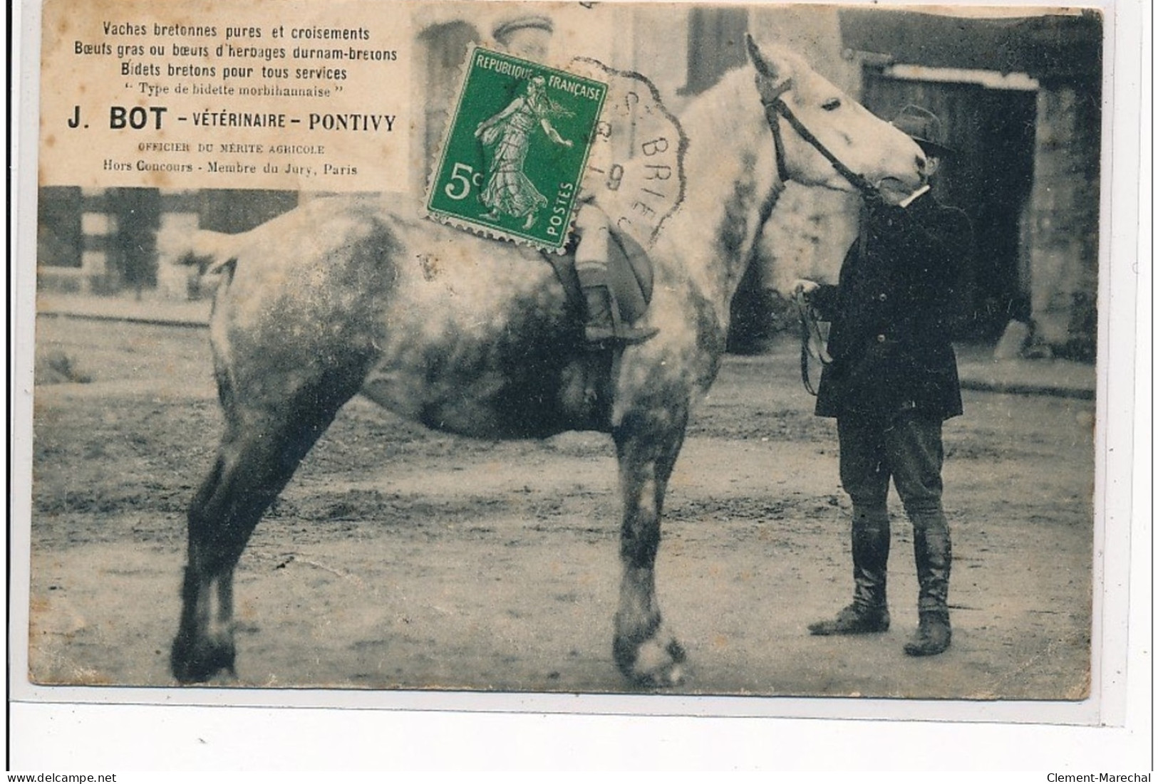 PONTIVY - J. Bot, Vétérinaire - CHEVAL - état - Pontivy