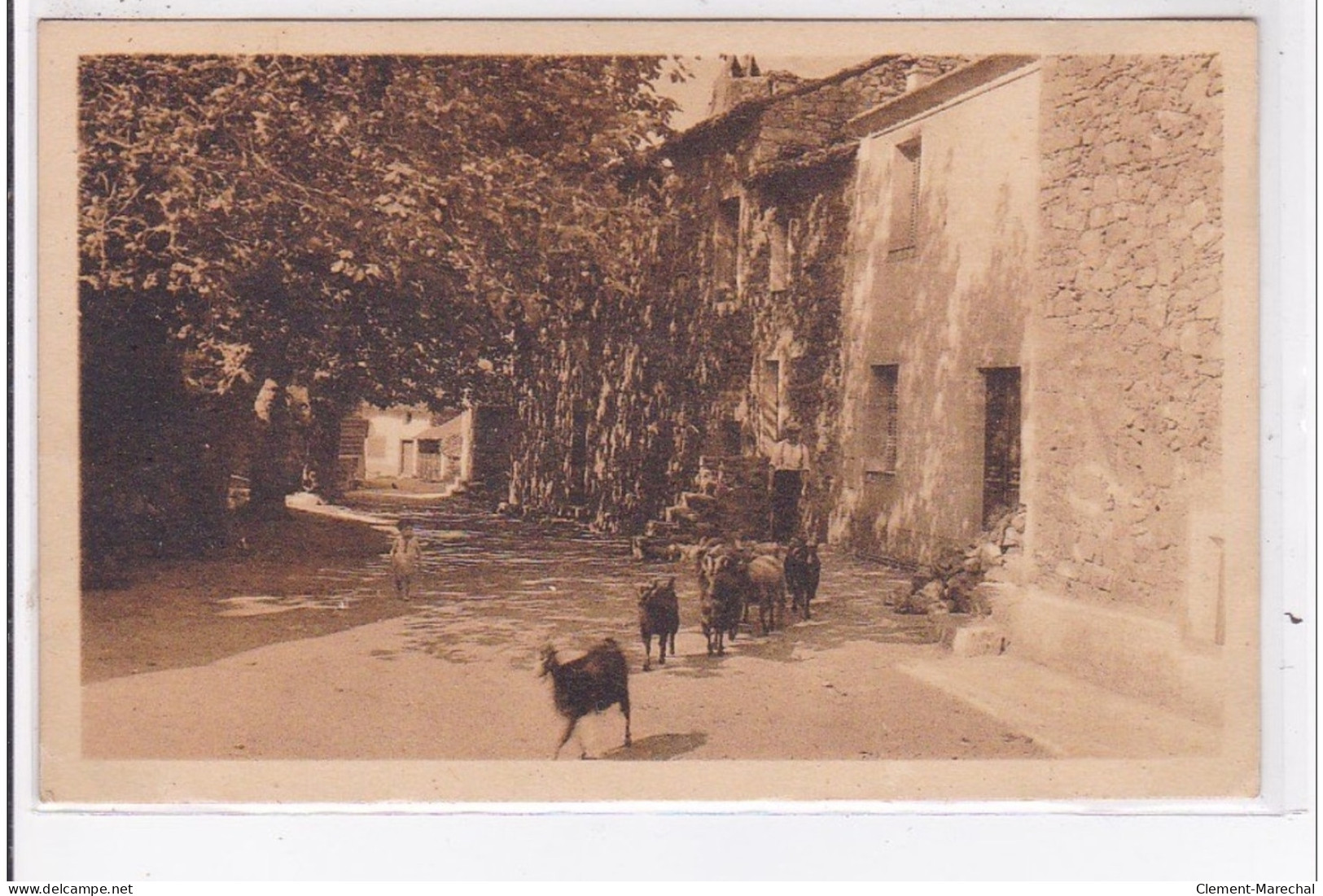 SARI D'ORCINO : Place Canale - Très Bon état - Otros & Sin Clasificación