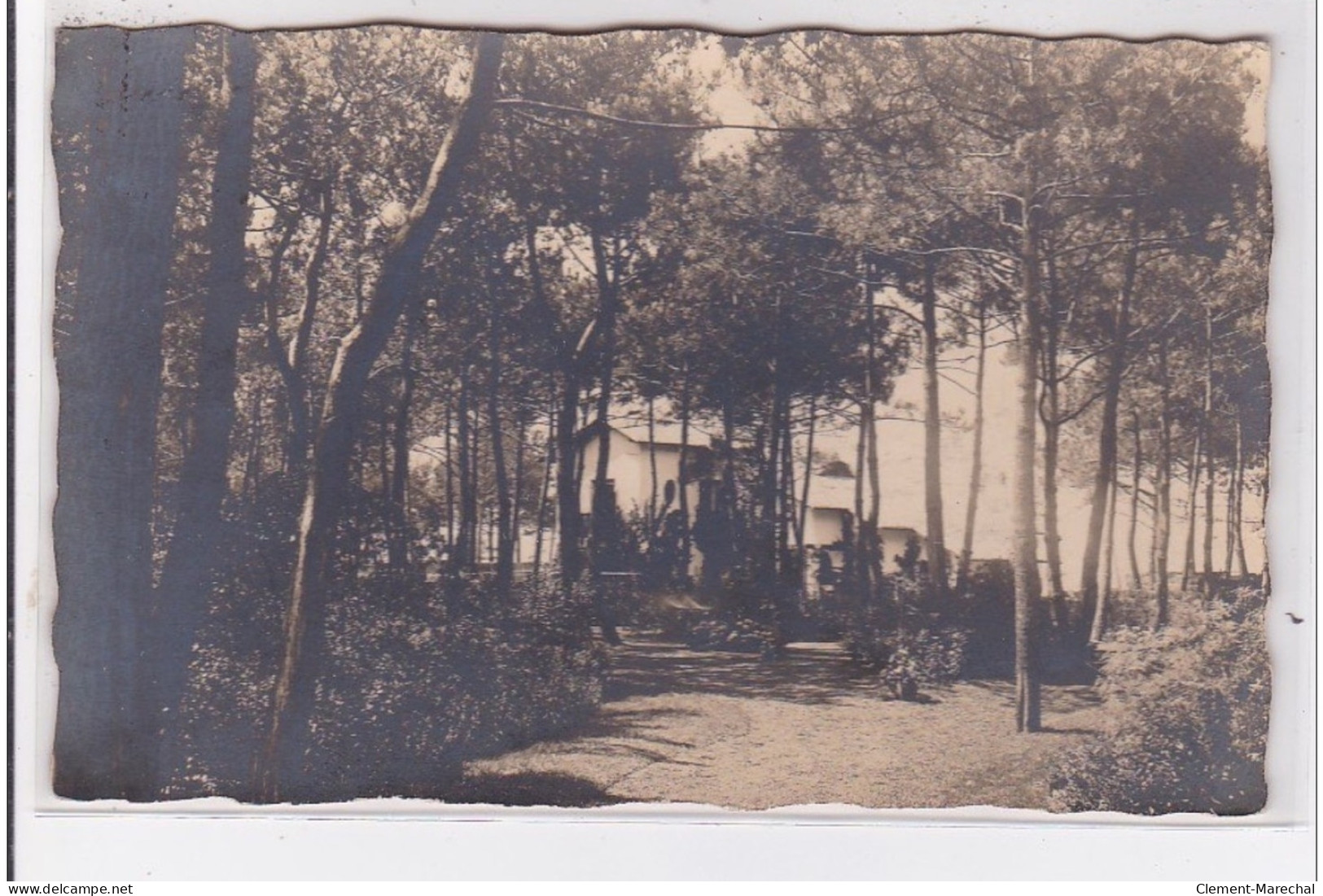 ARCACHON : Carte Photo D'une Villa Dans Les Pins - Très Bon état - Arcachon