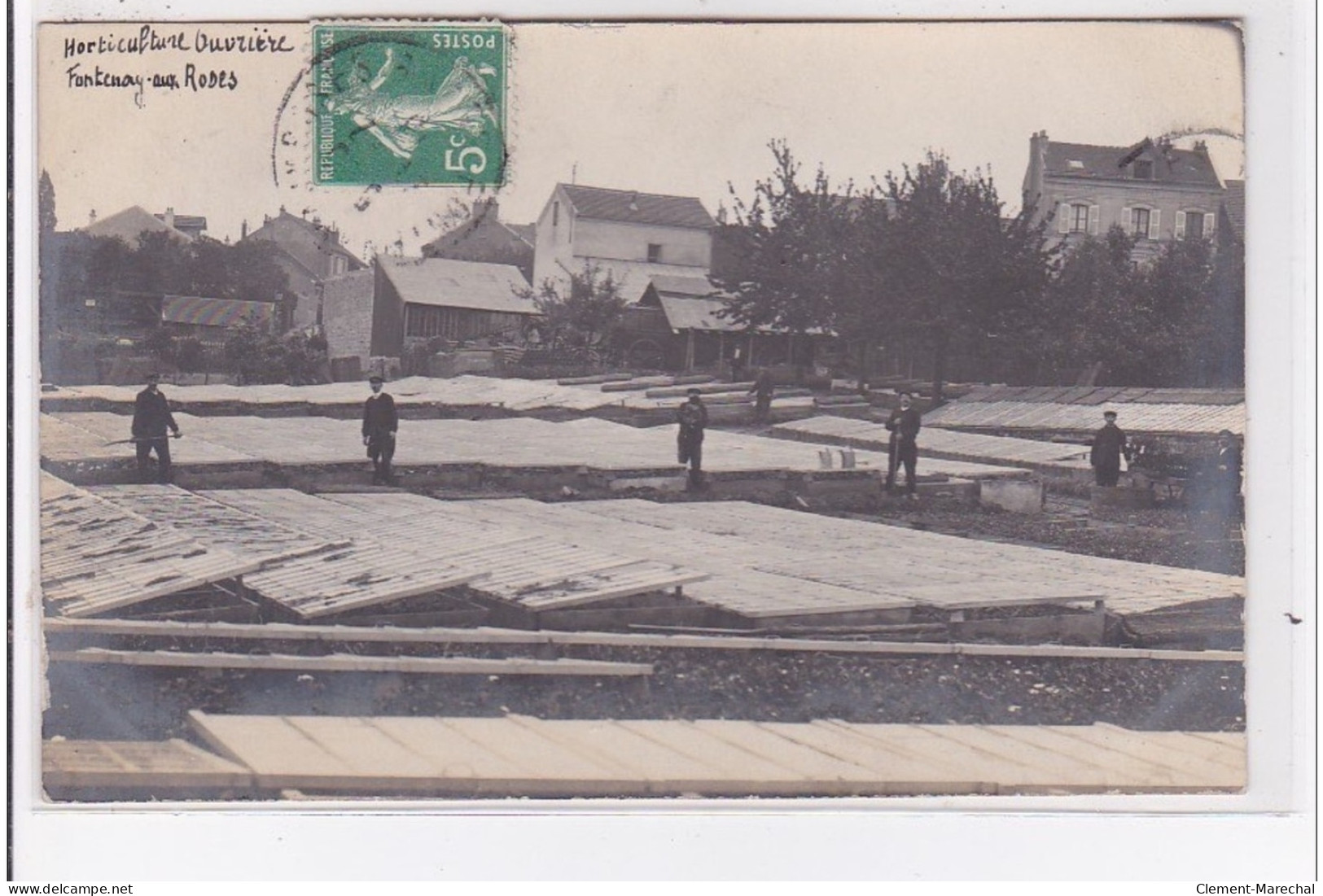 FONTENAY AUX ROSES : Carte Photo - Horticulture Ouvrière Vers 1910 - Très Bon état - Fontenay Aux Roses