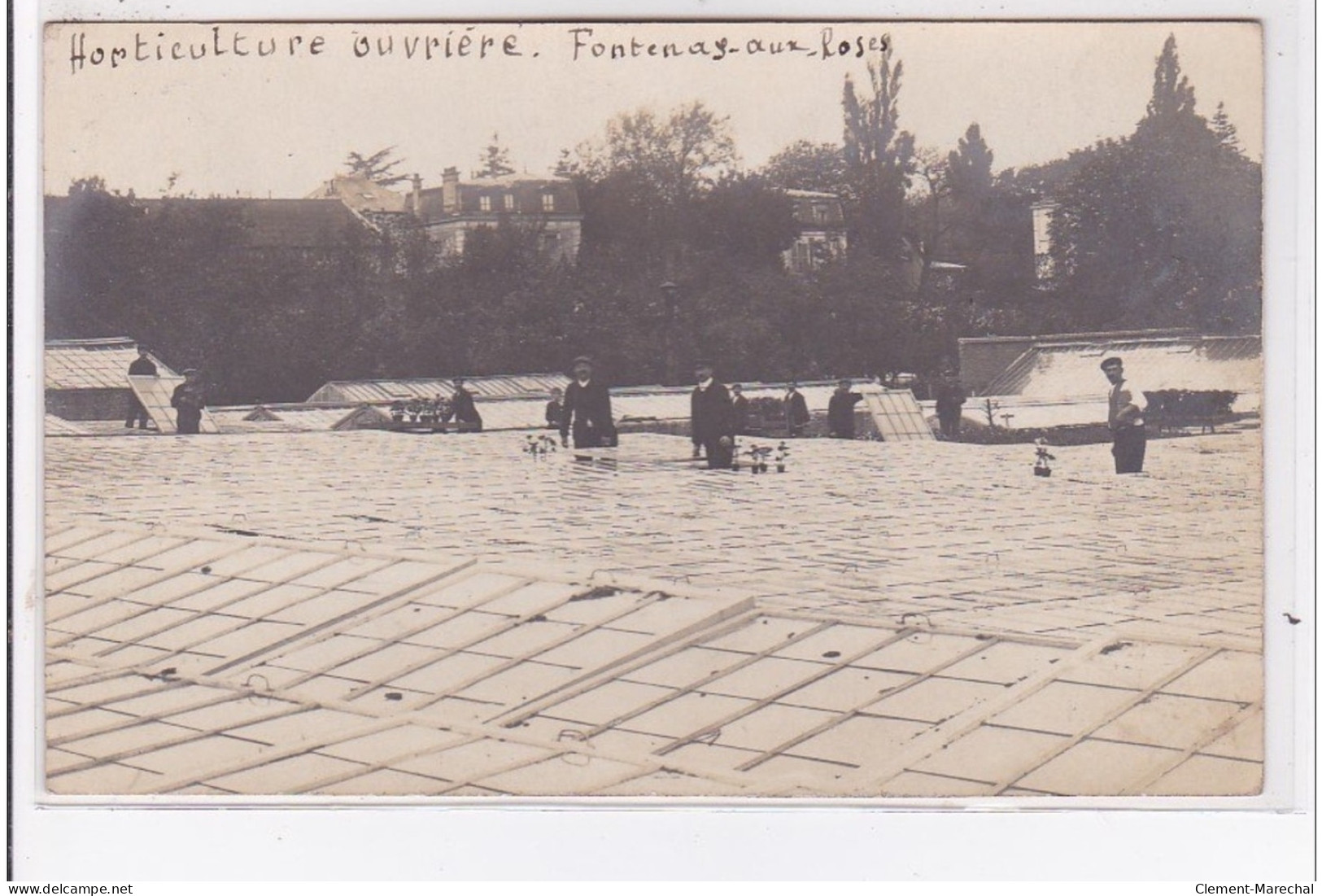 FONTENAY AUX ROSES : Carte Photo - Horticulture Ouvrière Vers 1910 - Très Bon état - Fontenay Aux Roses