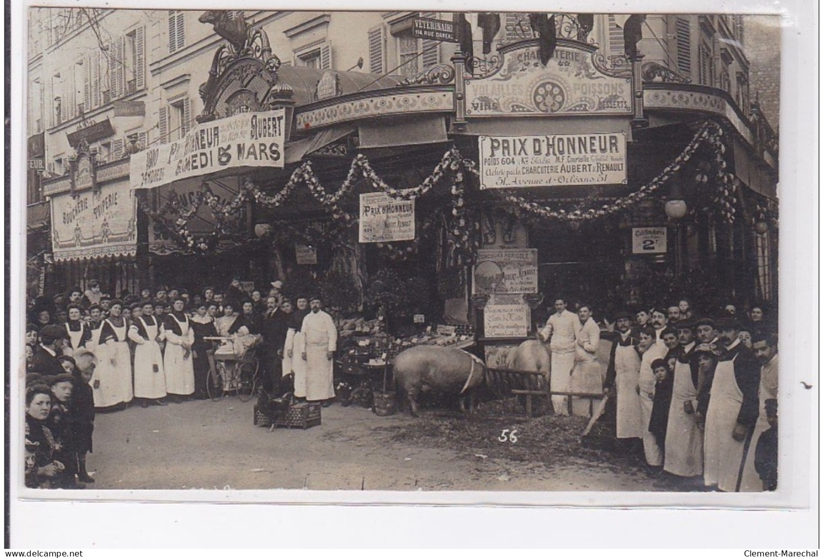 Paris : Carte Photo De La Boucherie Au 51 Avenue D'Orleans (AUBERT) - Très Bon état - Arrondissement: 14