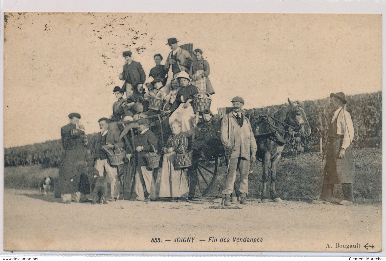 JOIGNY : Fin Des Vendanges - Très Bon état - Joigny