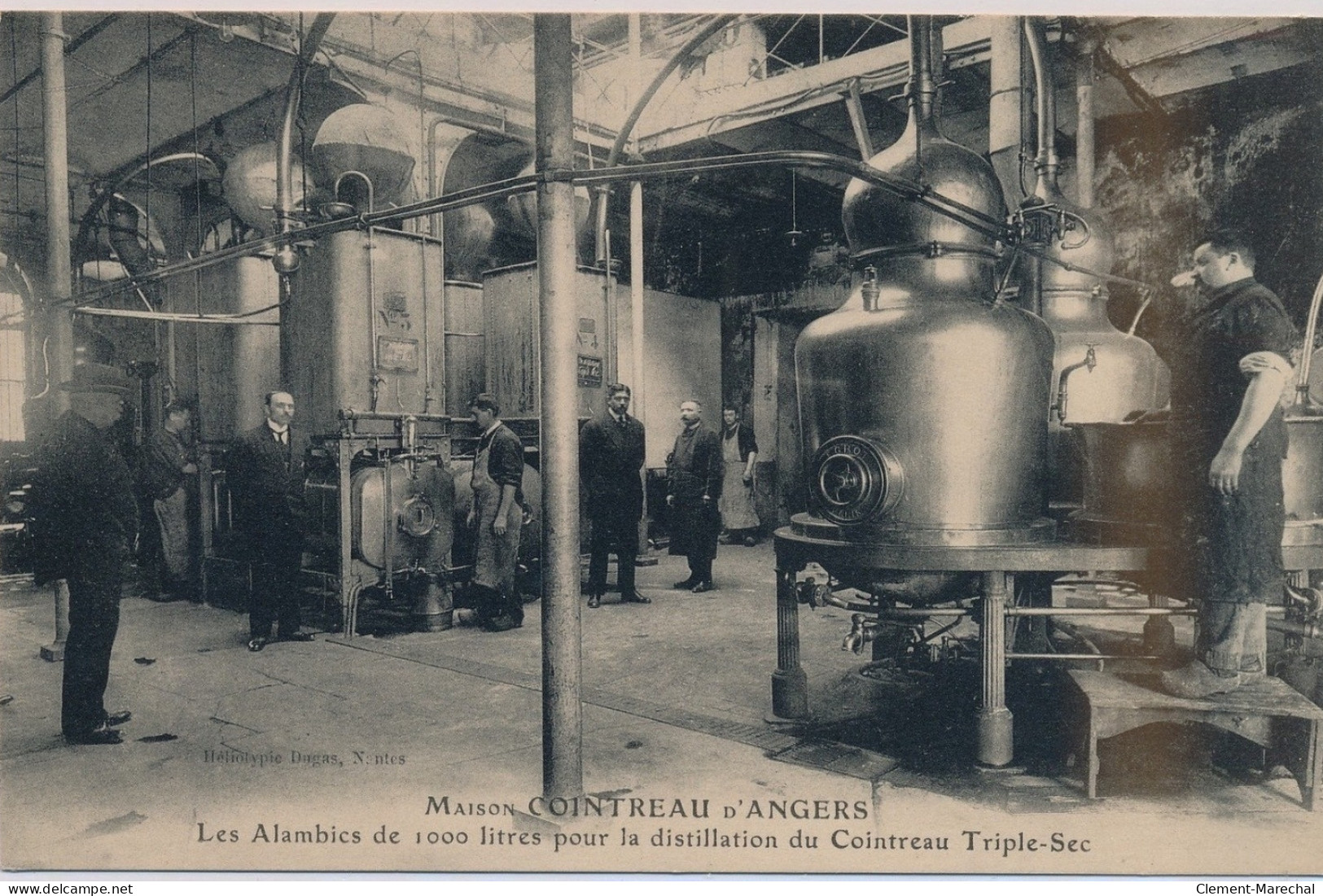 ANGERS : Maison COINTREAU, Les Alambics De 1000 Litres Pour La Distillation Du Cointreau Triple-Sec - Très Bon état - Angers