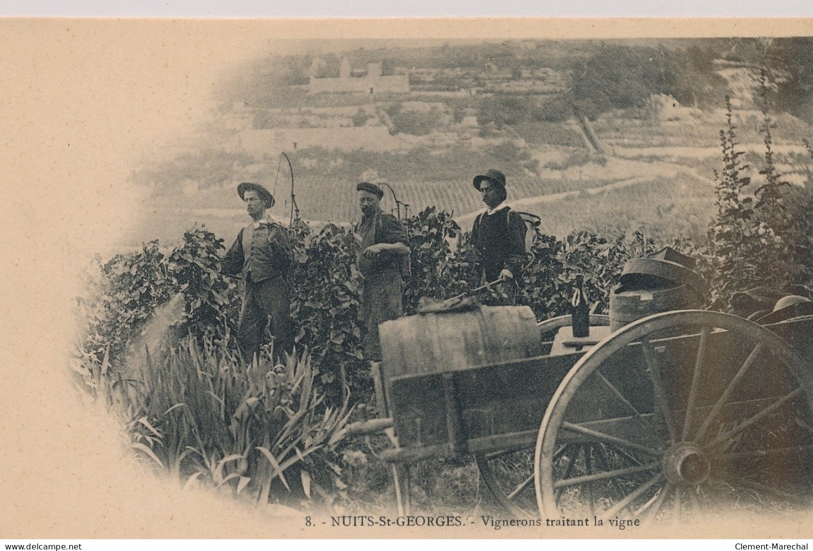 NUITS-ST-GEORGES : Les Vendanges, Vignerons Traitant La Vigne - Très Bon état - Nuits Saint Georges