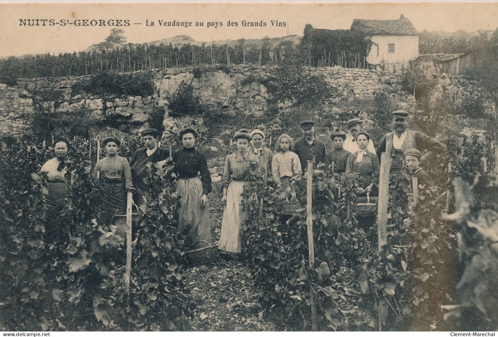 NUITS-ST-GEORGES : La Vendange Au Pays Des Grands Vins - Très Bon état - Nuits Saint Georges