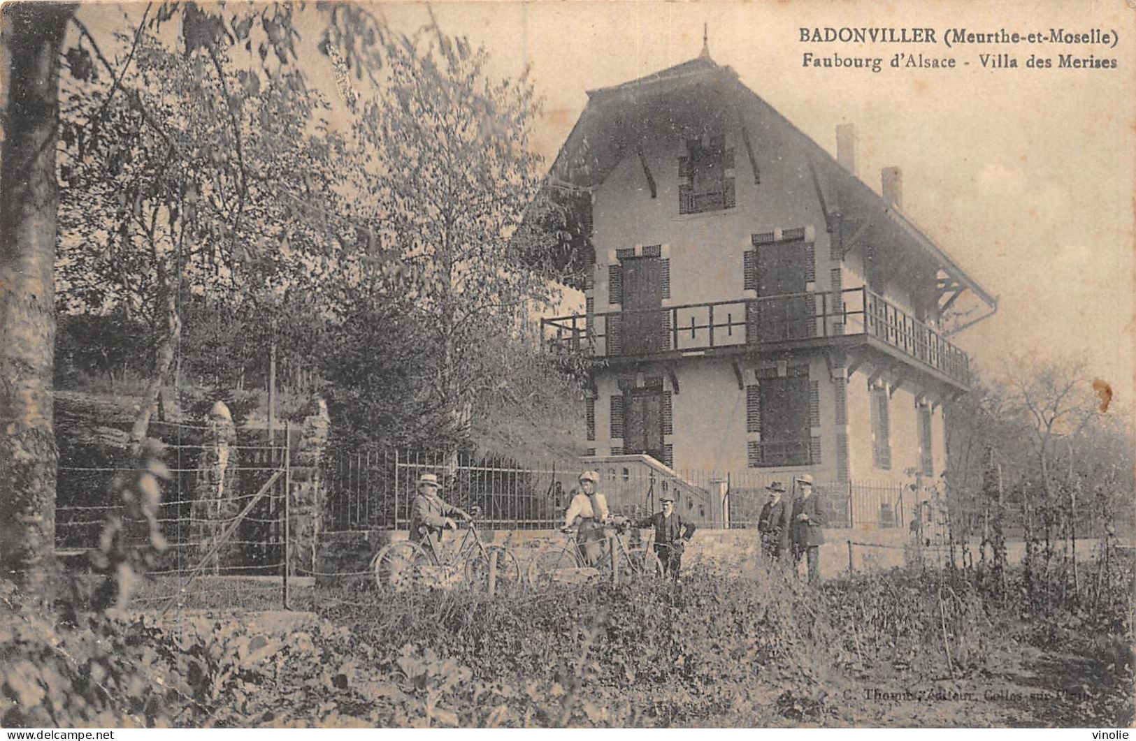 24-5114 : BADONVILLER.  VILLA DES MERISES - Sonstige & Ohne Zuordnung