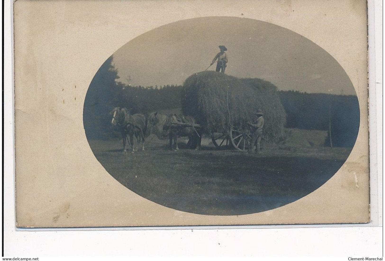 Région De CORLAY ? : Carte Photo D'une Scène De Fenaisons Vers 1900 (agriculture) - Tres Bon Etat - Other & Unclassified