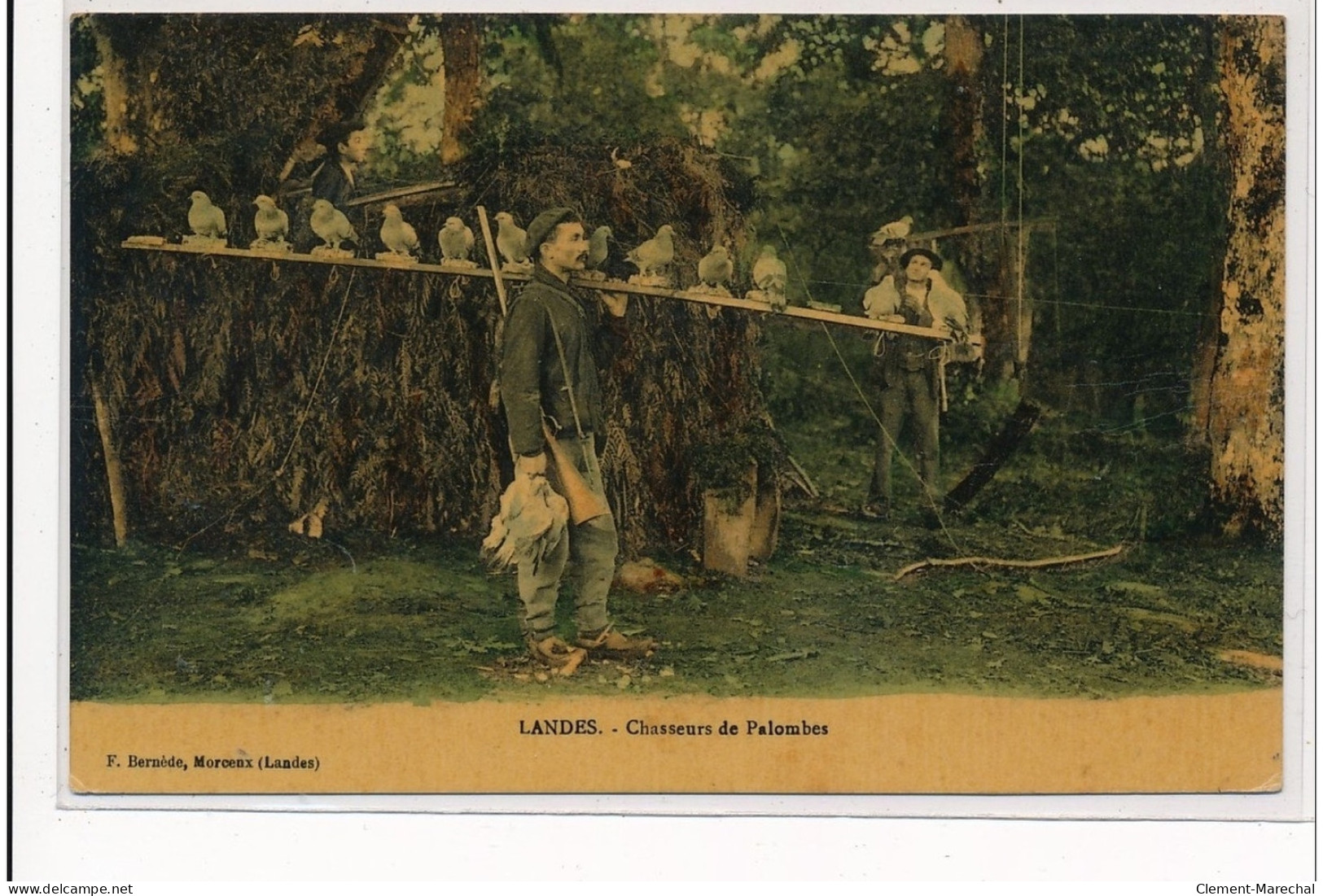 LANDES : Chasseurs De Palombes - Tres Bon Etat - Autres & Non Classés