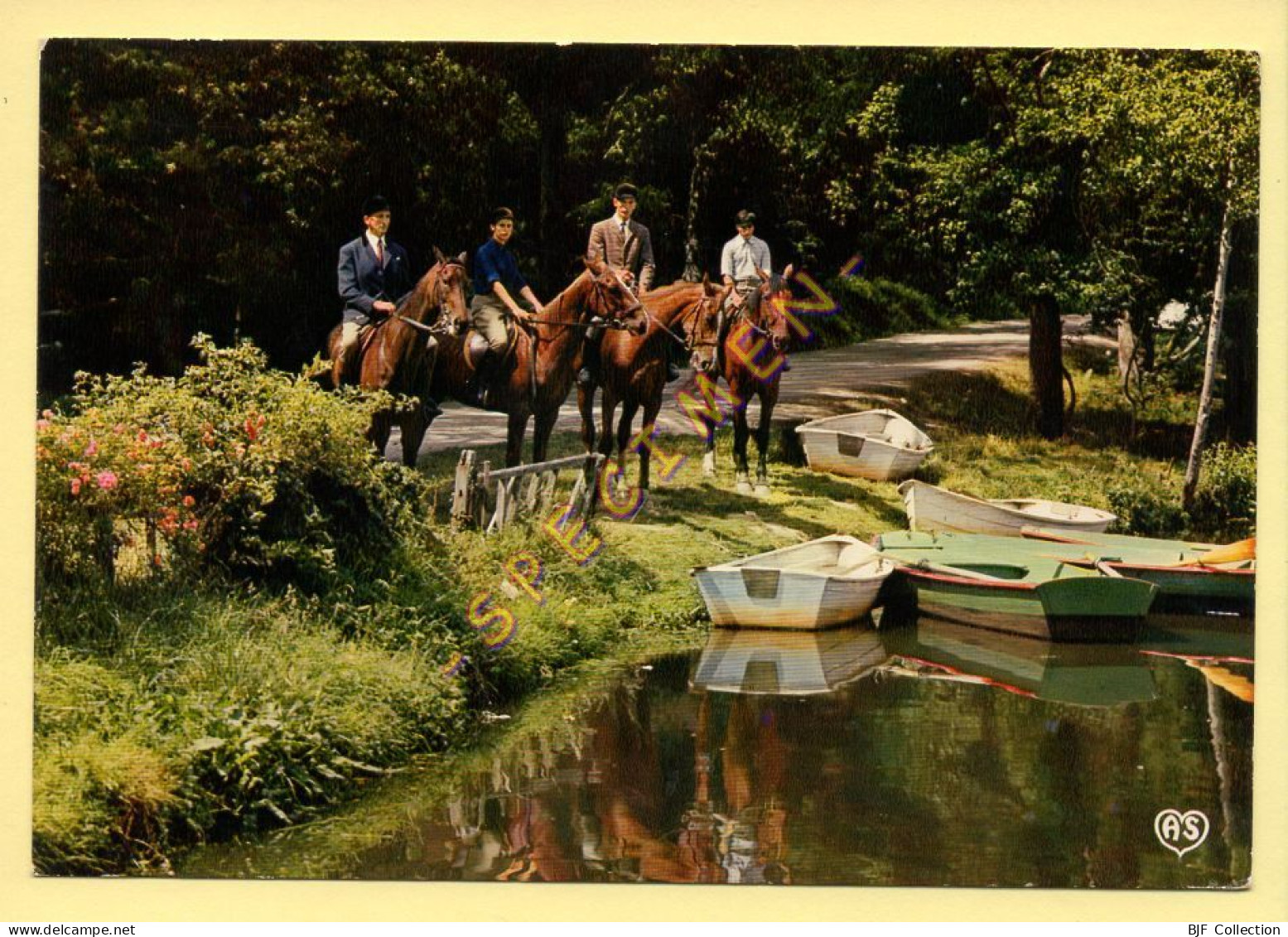 61. Promenade Equestre (animée) (voir Scan Recto/verso) - Bagnoles De L'Orne