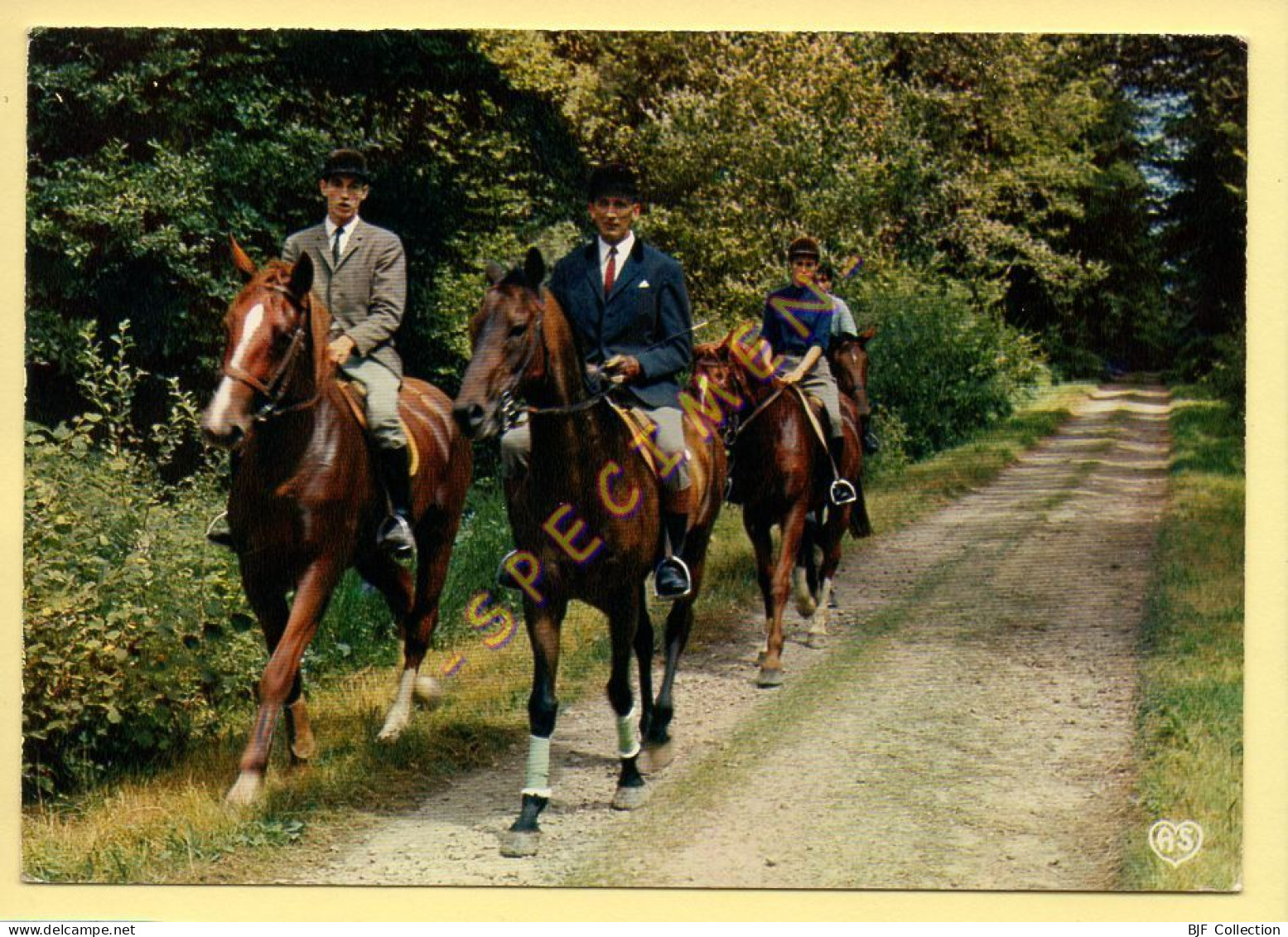 61. Environs De BAGNOLES-DE-L'ORNE – En Forêt D'Andaine / Promenade Equestre (animée) (voir Scan Recto/verso) - Bagnoles De L'Orne