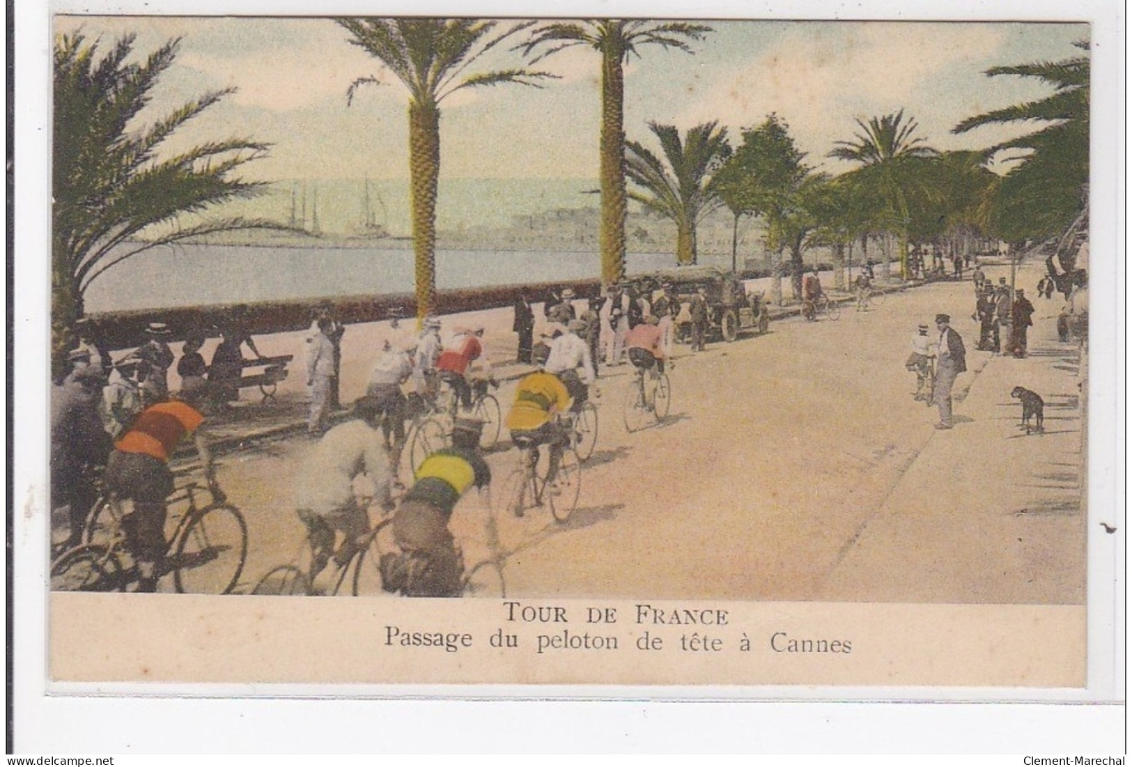 CANNES : Passage Du Peloton De Tete à Cannes - Très Bon état - Cannes