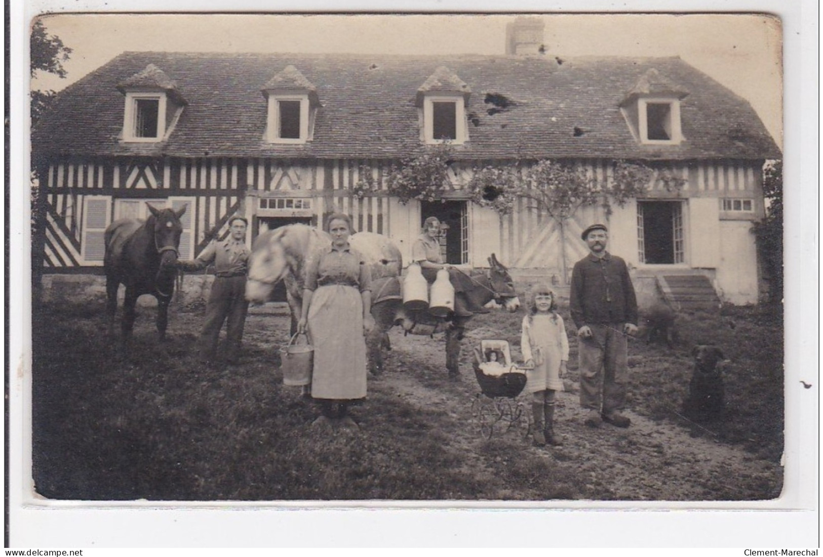 TROUVILLE (environs) : Carte Photo D'une Ferme Normande (laitière - âne) - Tres Bon Etat - Trouville