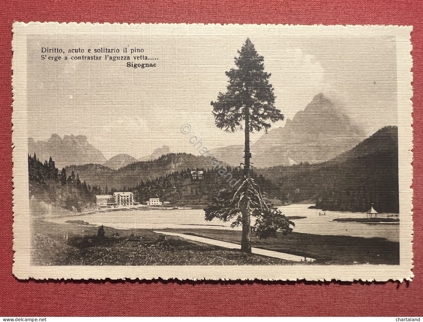 Cartolina - Lago Di Misurina ( Belluno ) - 1920 Ca. - Belluno