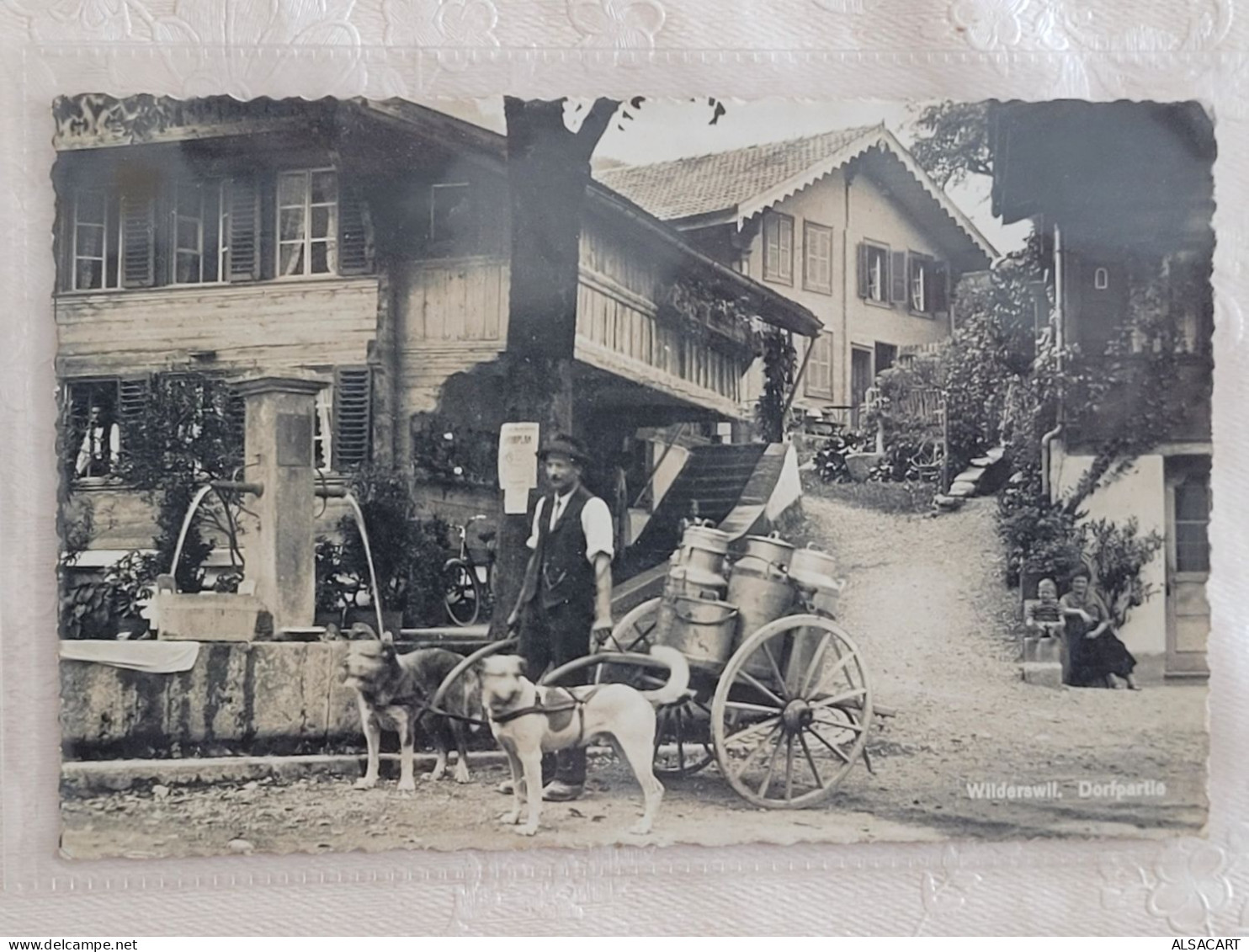 Wilderswil Dorfpartie , Attelage De Chien Du Laitier , Rare - Sonstige & Ohne Zuordnung