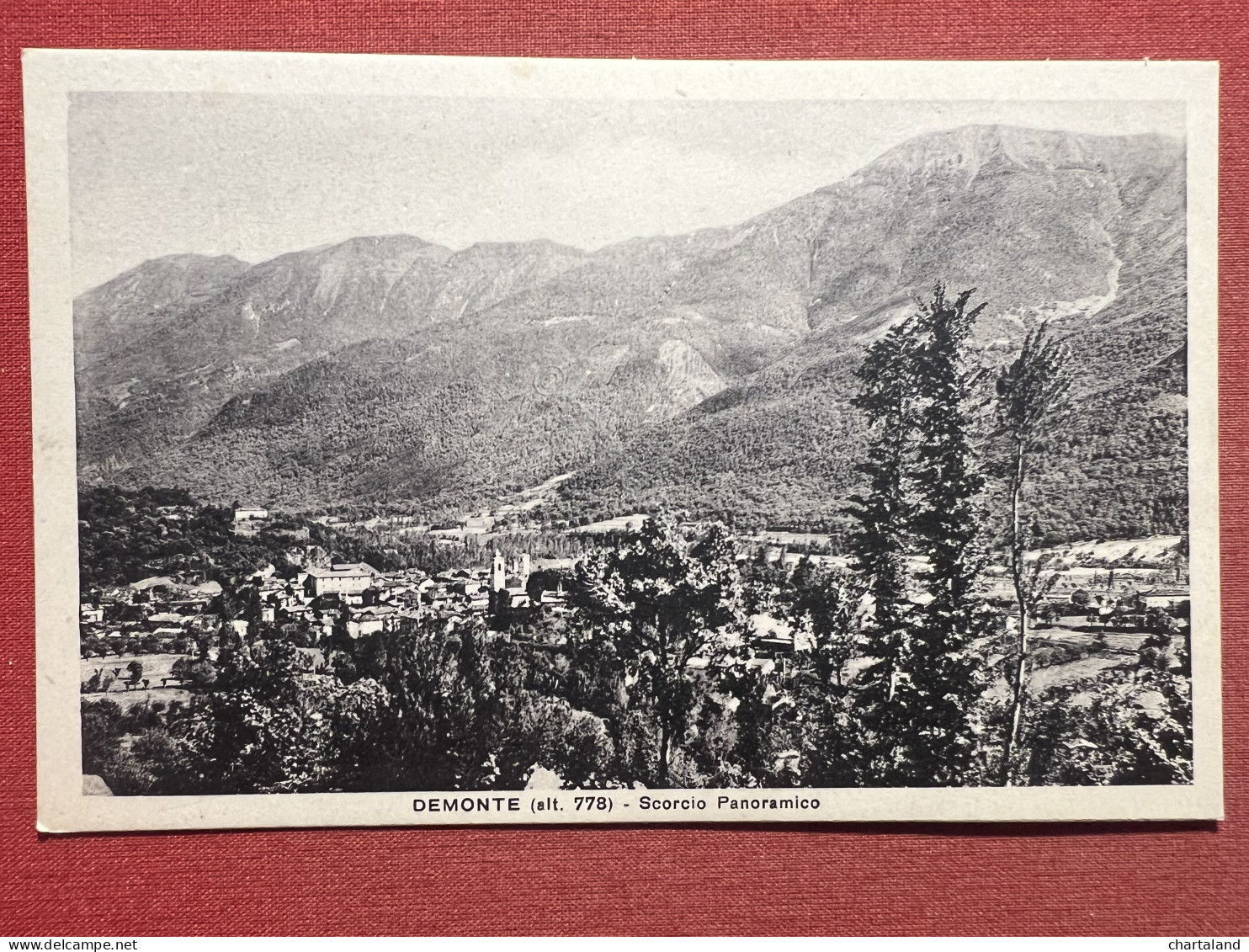 Cartolina - Demonte ( Cuneo ) - Scorcio Panoramico - 1920 Ca. - Cuneo