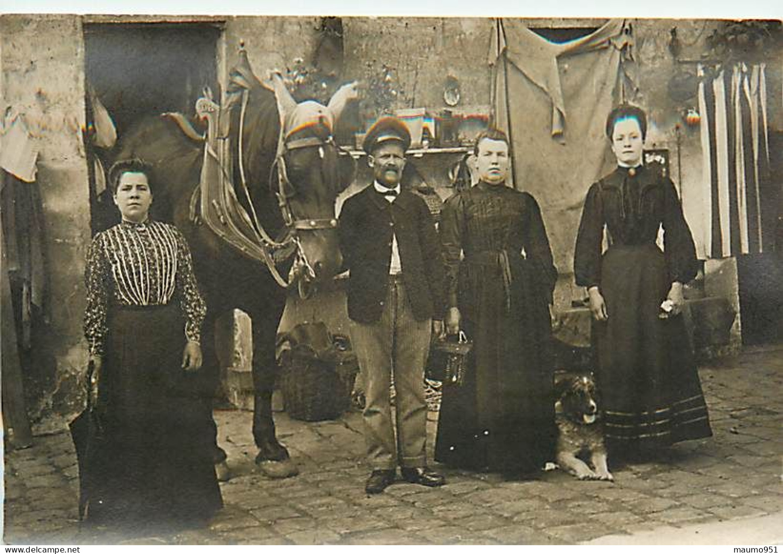 CARTE PHOTO - SORTIE DE L'ATTELAGE DU CHEVAL DEVANT LA PORTE ET LA FAMILLE - Paysans