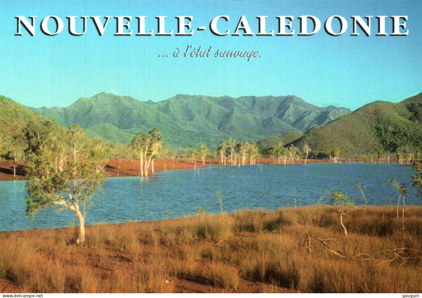 CPM - NOUVELLE-CALÉDONIE - A L'état Sauvage ... Photo M.Hosken - Edition Footprint Pacifique - New Caledonia