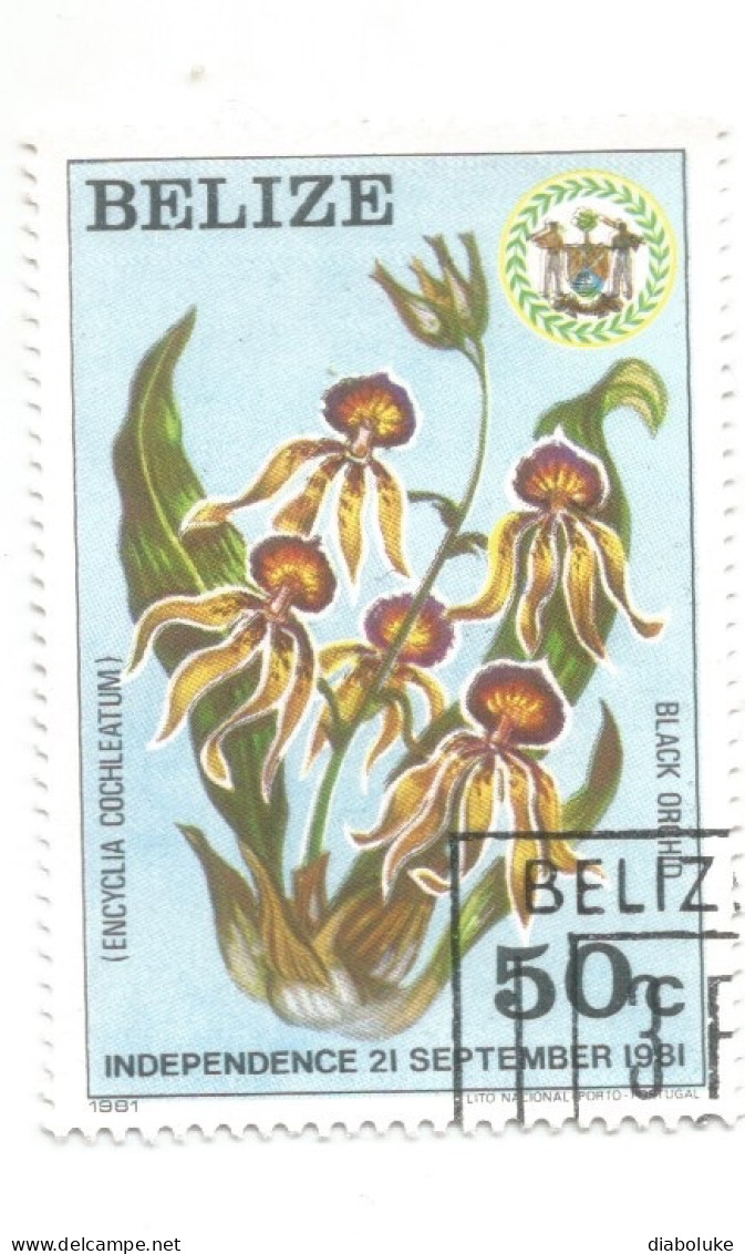 (BELIZE) 1981, INDEPENDENCE COMMEMORATION, BLACK ORCHID, ENCYCLIA COCHLEATUM - Used Stamp - Belice (1973-...)