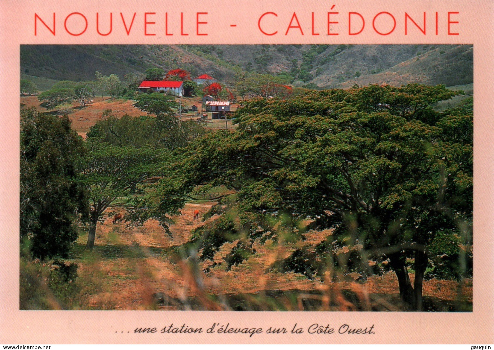 CPM - NOUVELLE-CALÉDONIE - Station D'élevage Sur La Côte Ouest ... Photo M.Hosken - Edition Footprint Pacifique - Neukaledonien