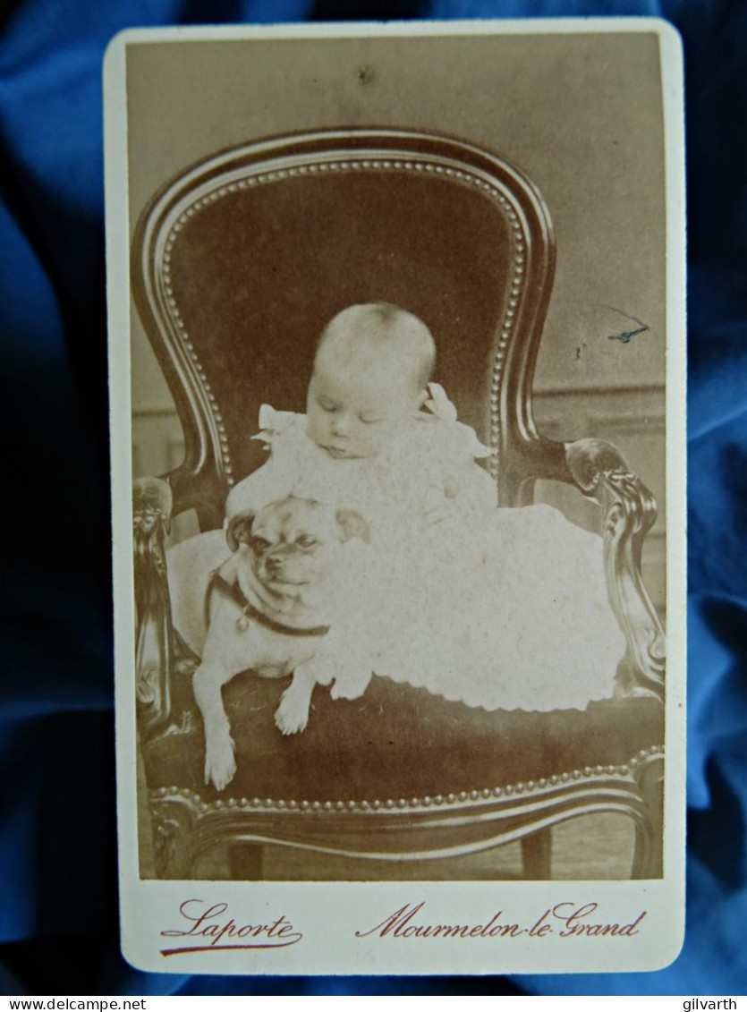 Photo CDV Laporte à Mourmelon Le Grand  Bébé (Conrad Portalis 1890-1969) Dans Un Fauteuil Avec Un Chien CA 1890 - L679A - Anciennes (Av. 1900)