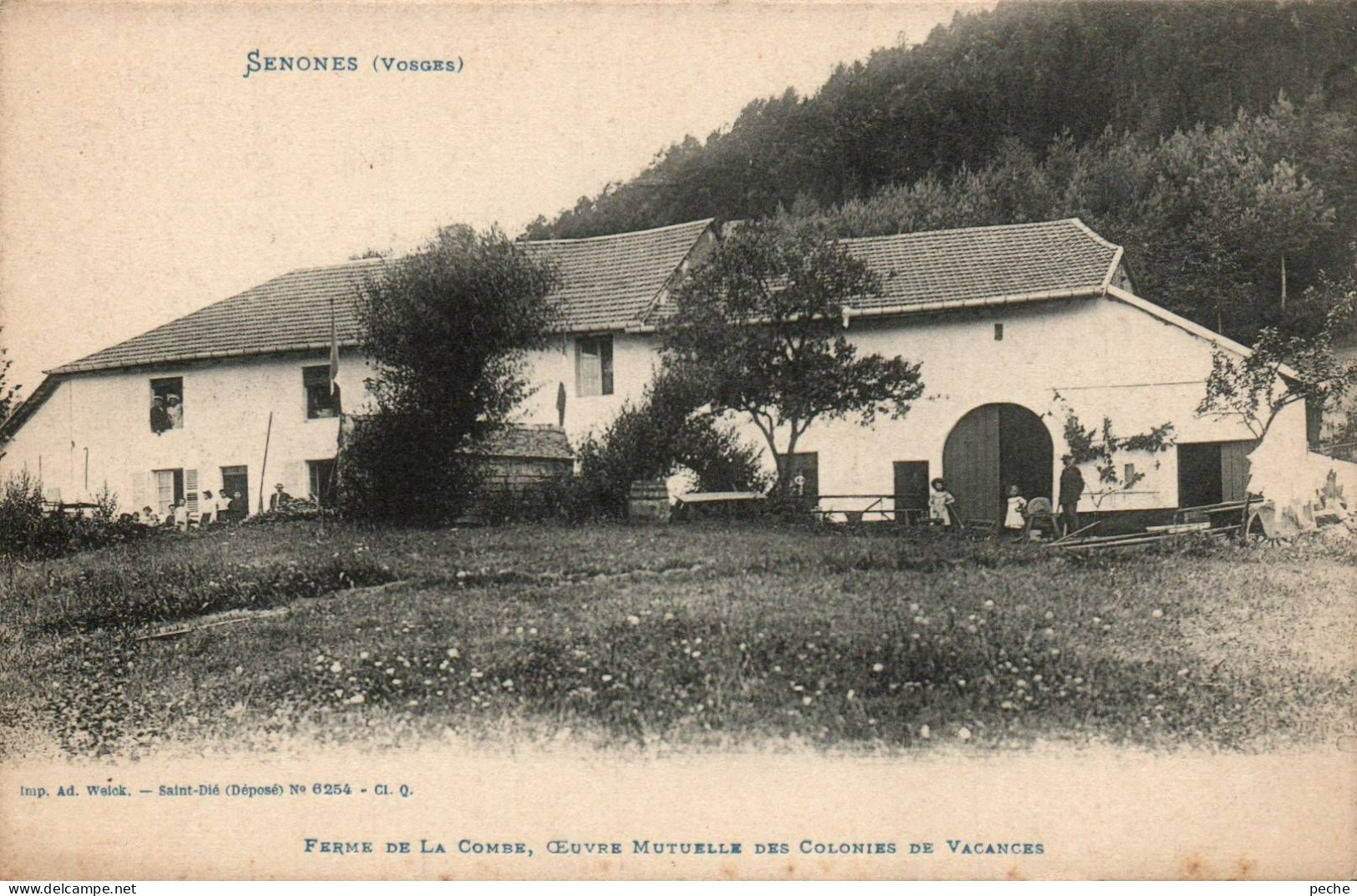 N°1119 W -cpa Senones -ferme De La Combe- - Senones