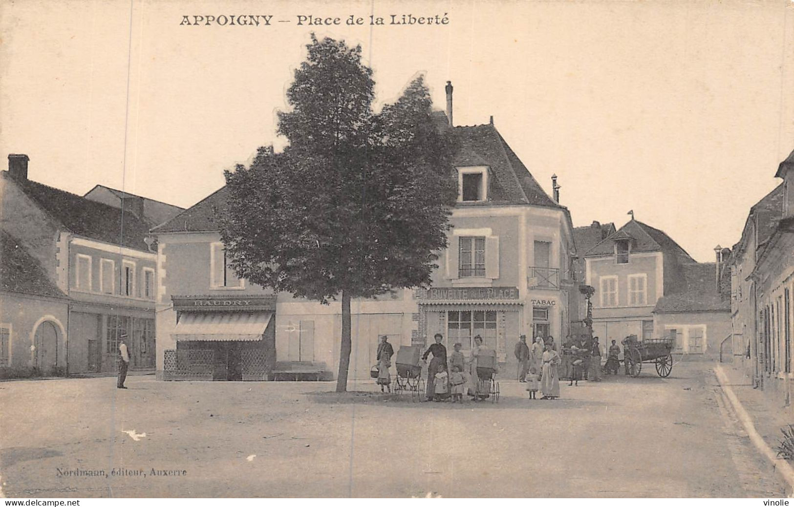 24-5138 : APPOIGNY. PLACE DE LA LIBERTE. ARBRE - Appoigny