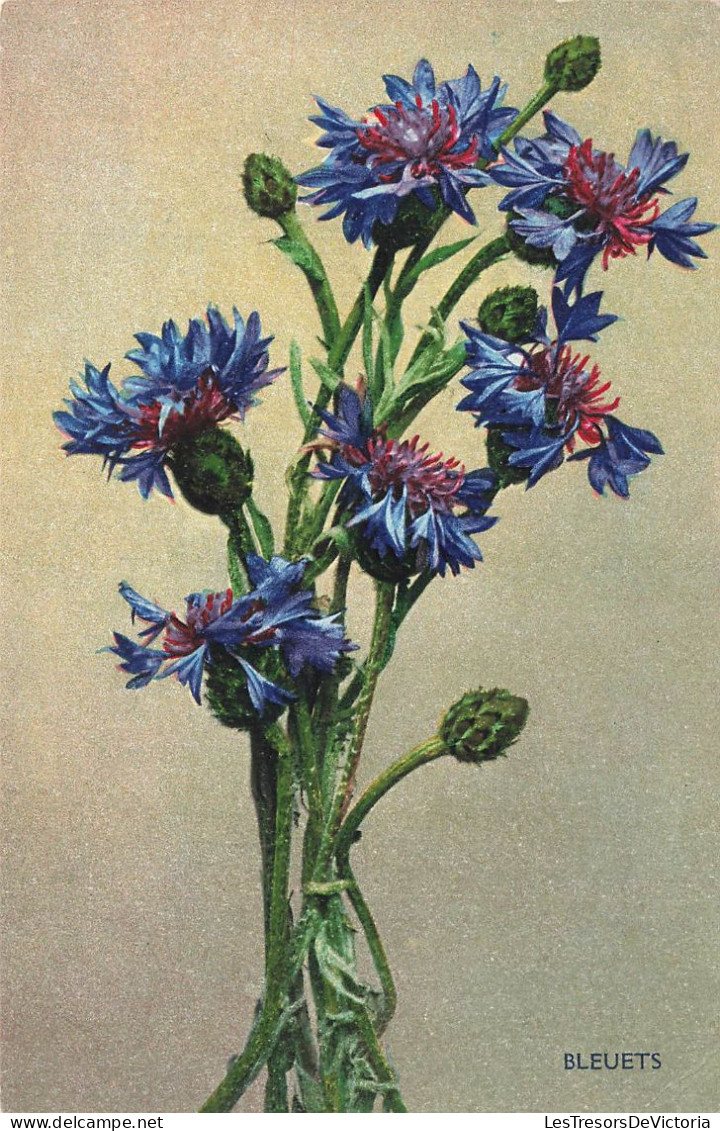 FANTAISIES - Fleurs - Bleuets - Colorisé - Carte Postale Ancienne - Altri & Non Classificati