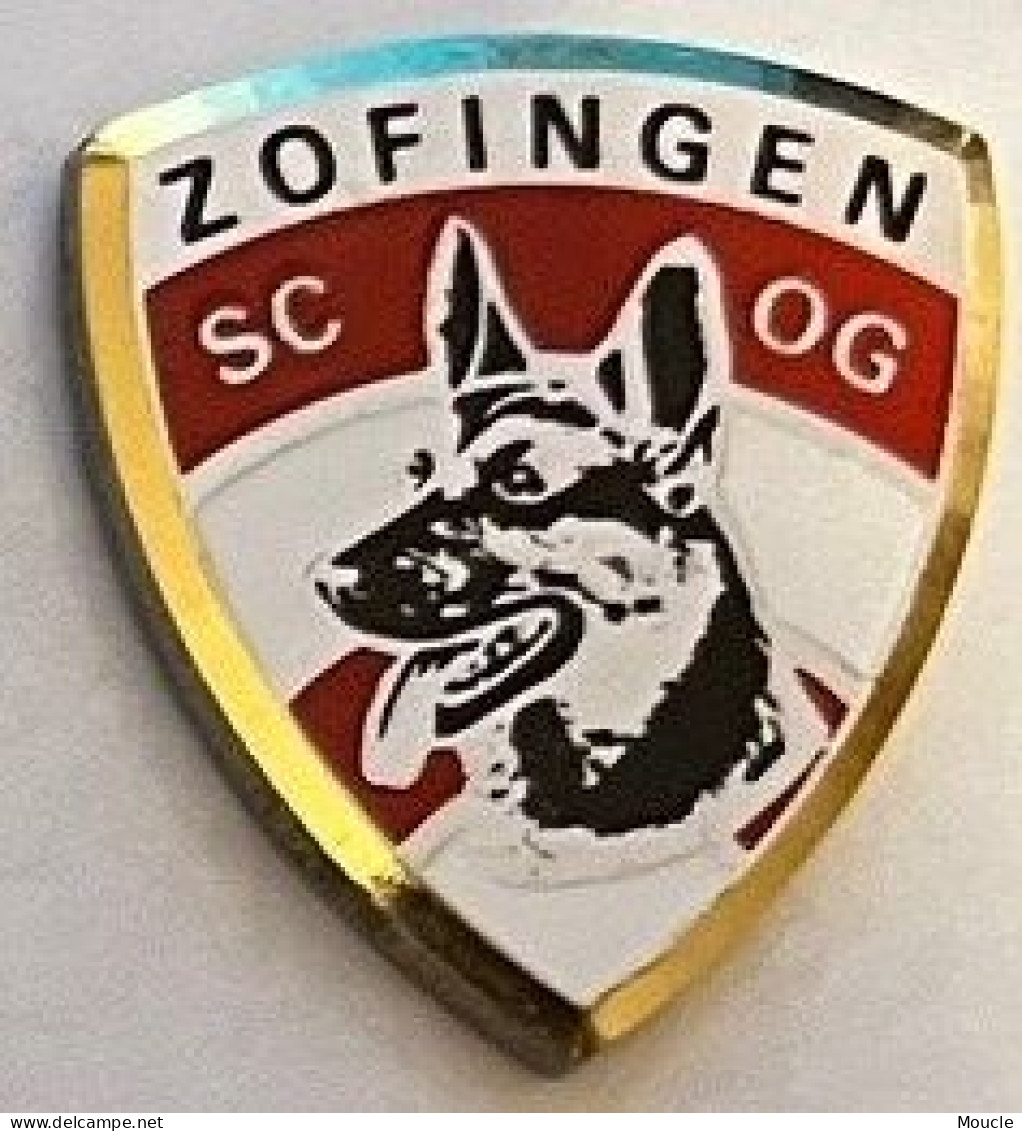 CHIEN - DOG - CANE - HUND - BERGER ALLEMAND - SCOG - ZOFINGEN - SUISSE - SCHWEIZ - SWITZERLAND - SVIZZERA -  (34) - Polizia