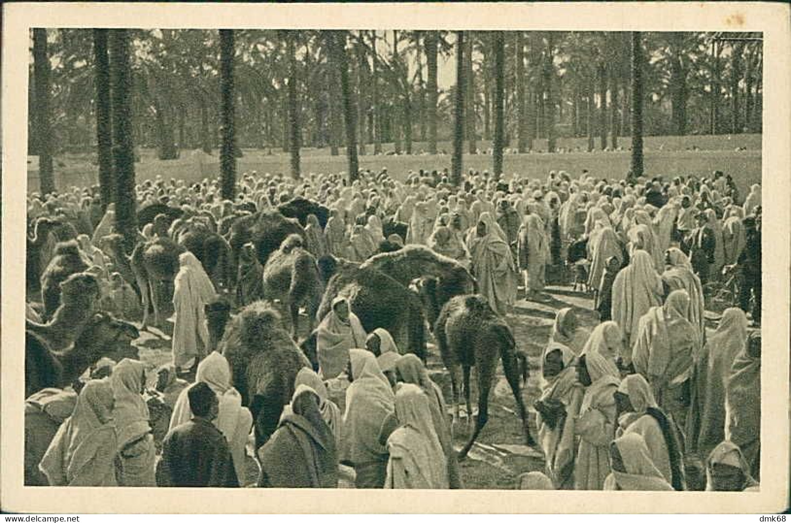 AFRICA - LIBYA / LIBIA - SUK EL GIUMA - MERCATO DEI CAMMELLI / CAMELS MARKET - ED. IST. COLONIALE FASCISTA 1930s (12553) - Libya